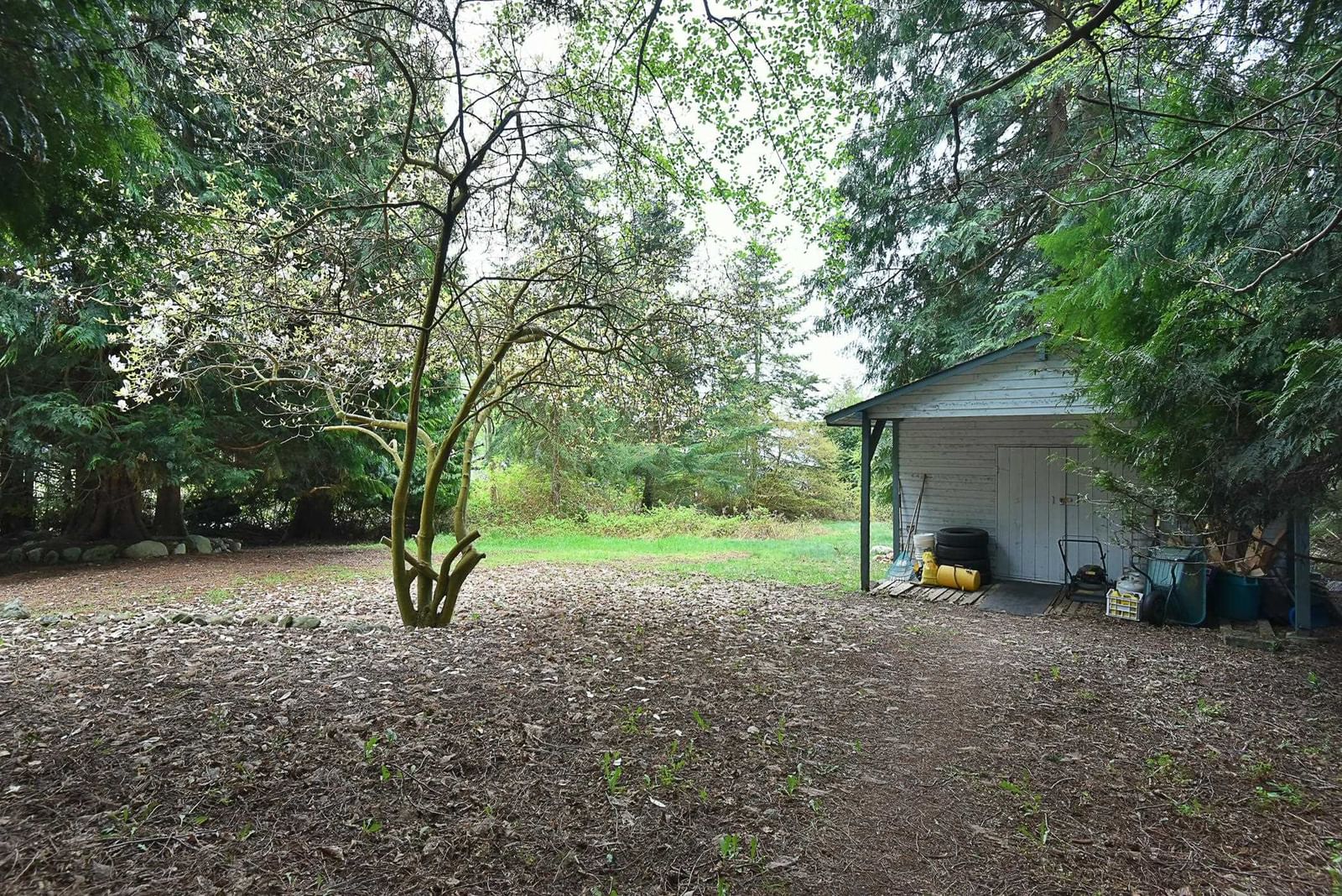 Listing Image 17