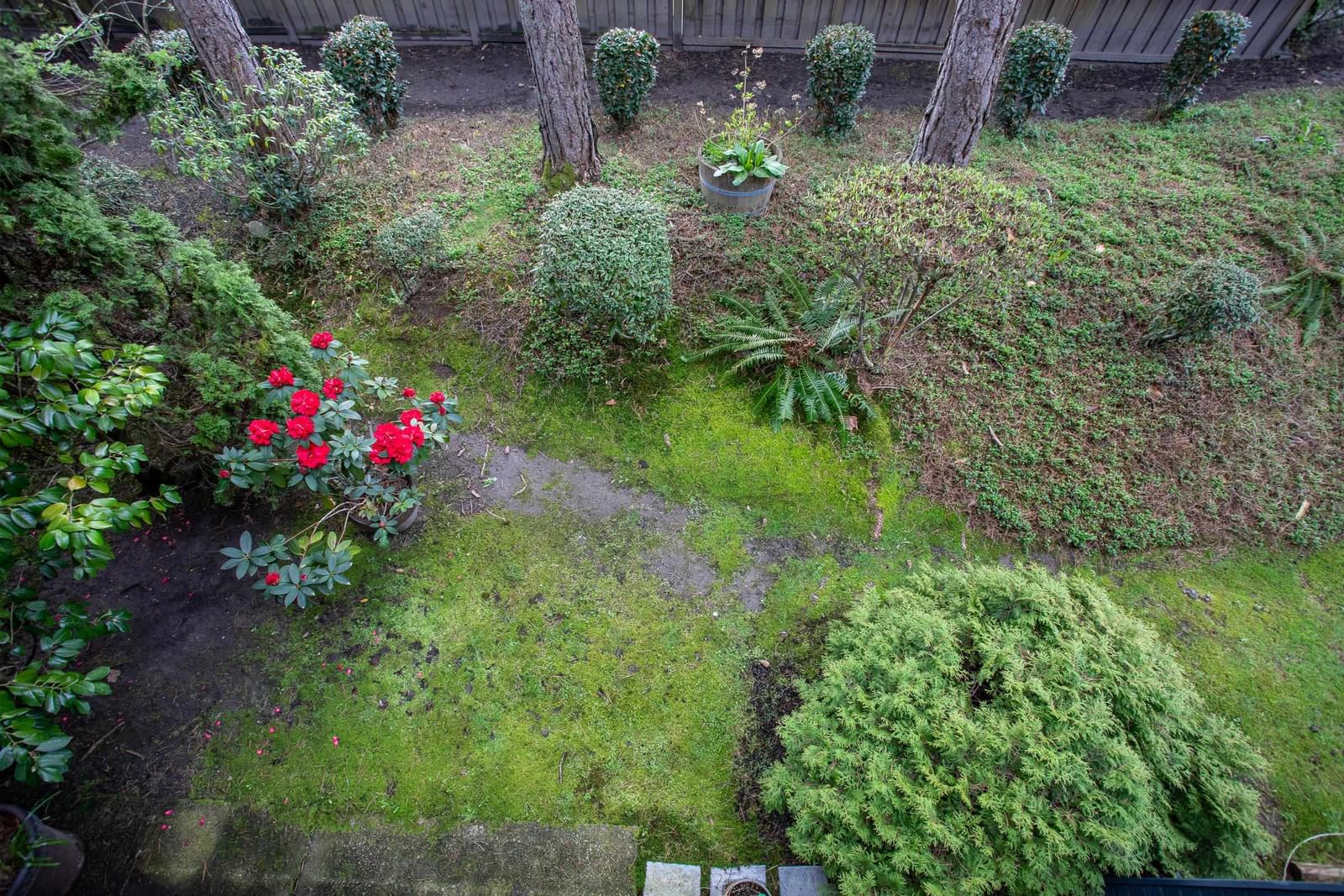 Listing Image 10