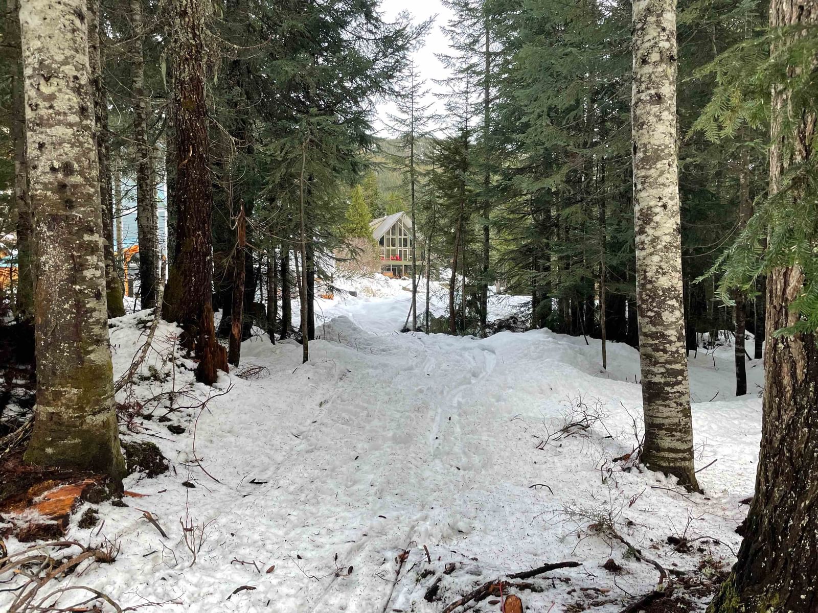 Listing Image 13