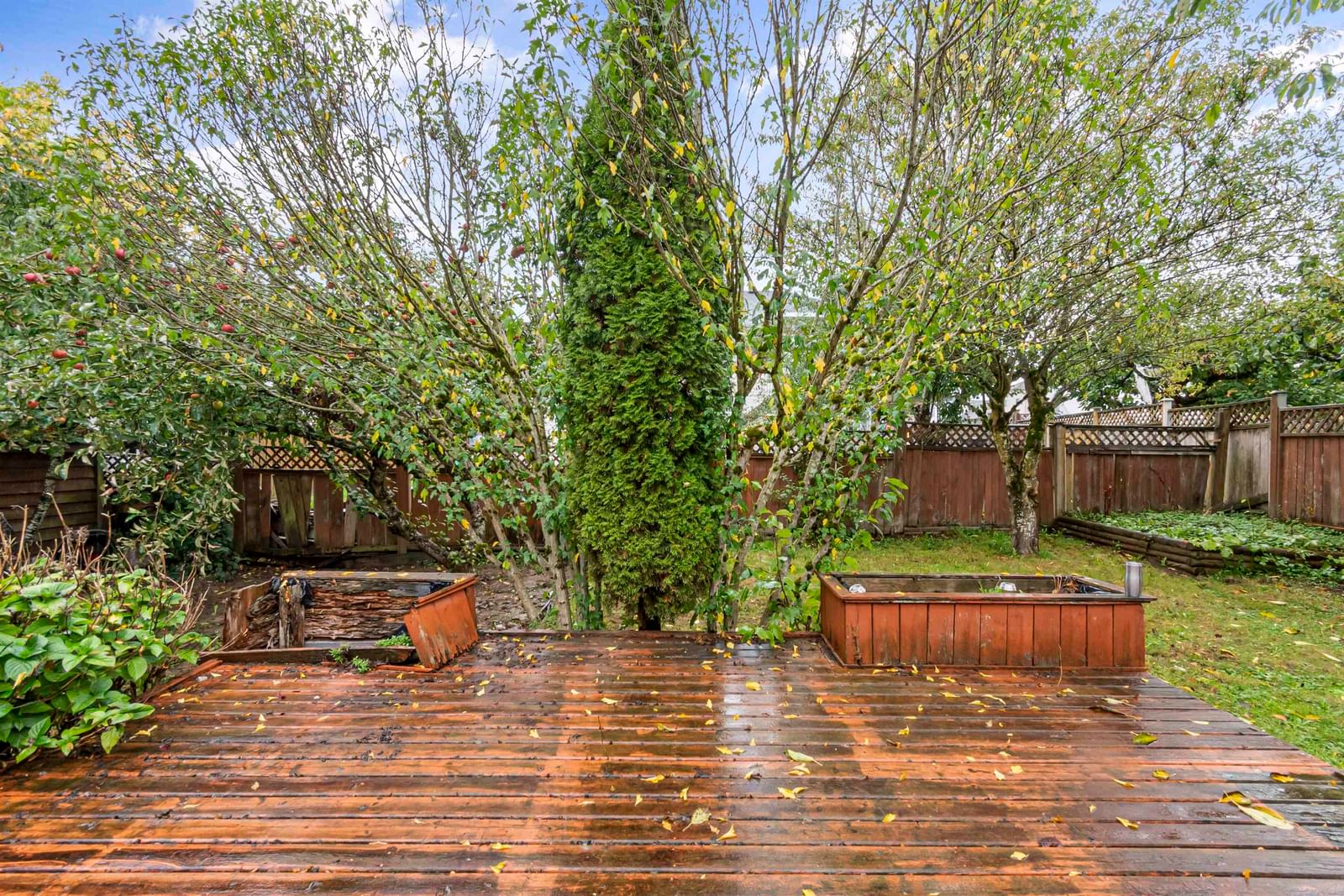 Listing Image 6