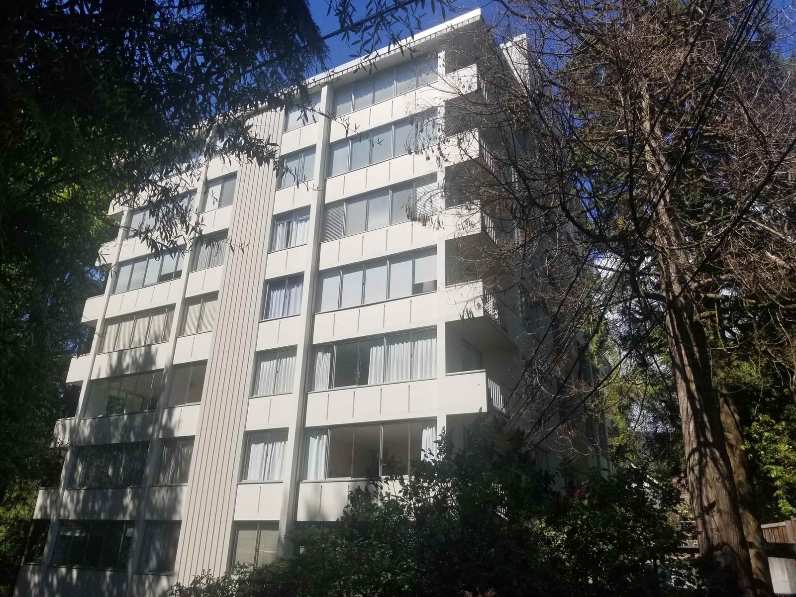 Listing Image 12