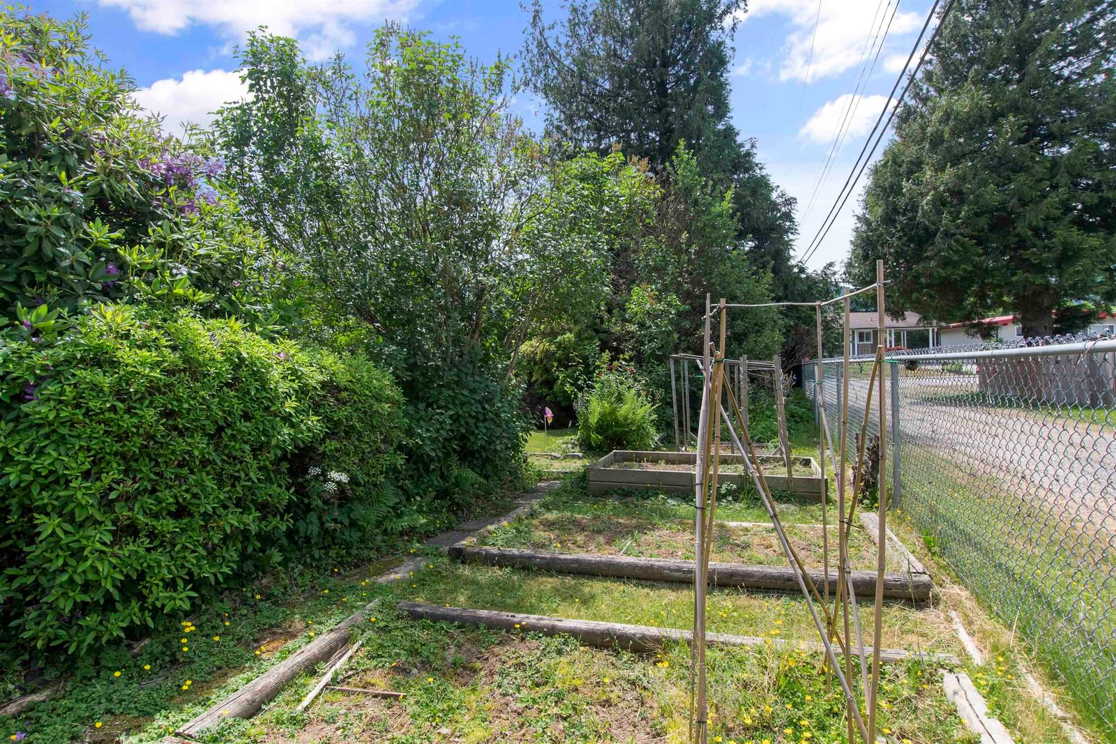 Listing Image 29