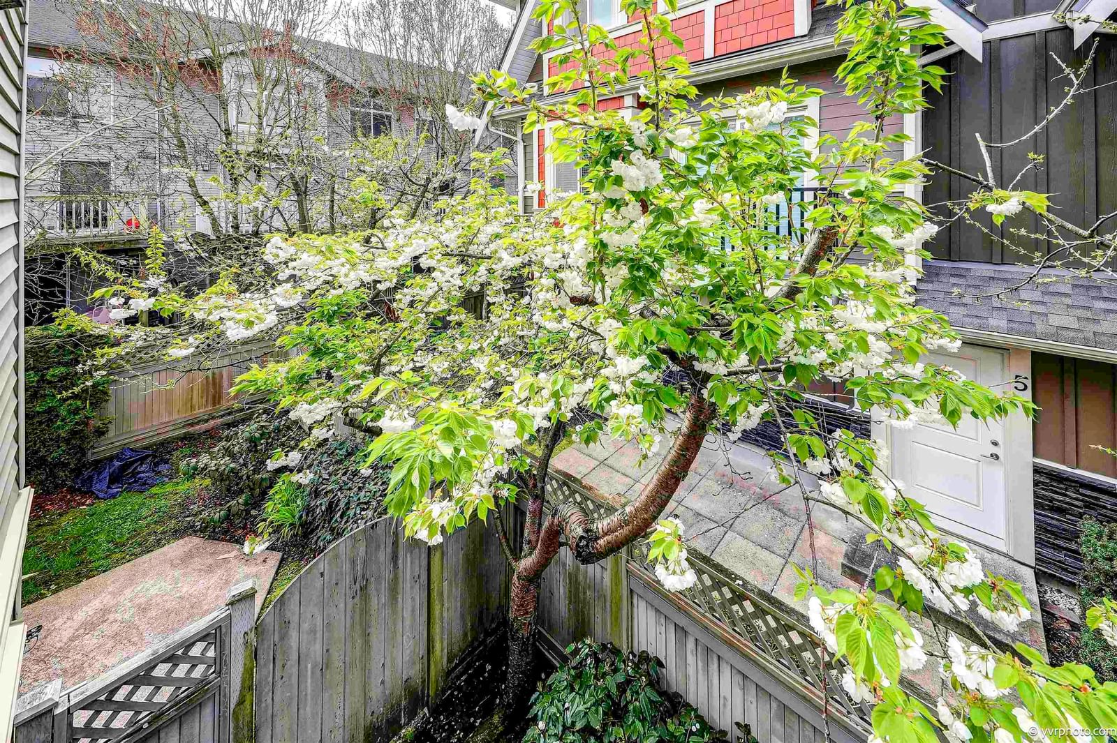Listing Image 35