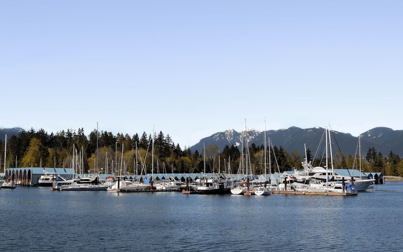 Listing Image 32