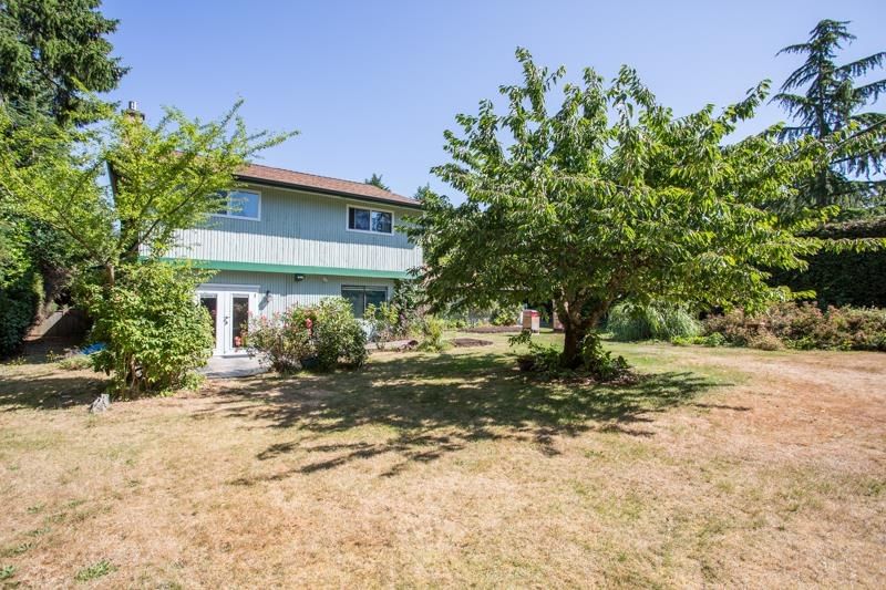 Listing Image 29
