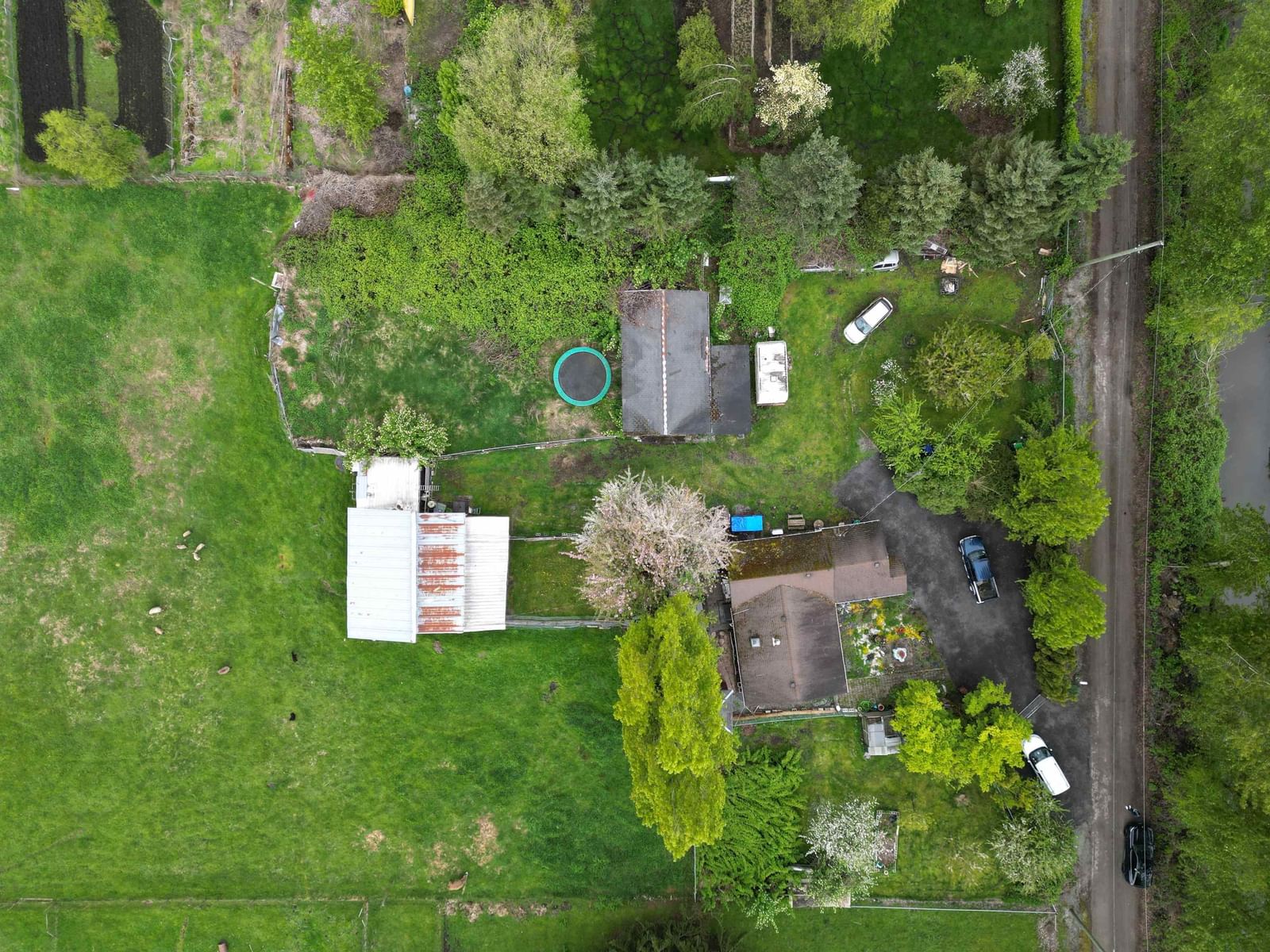 Listing Image 8