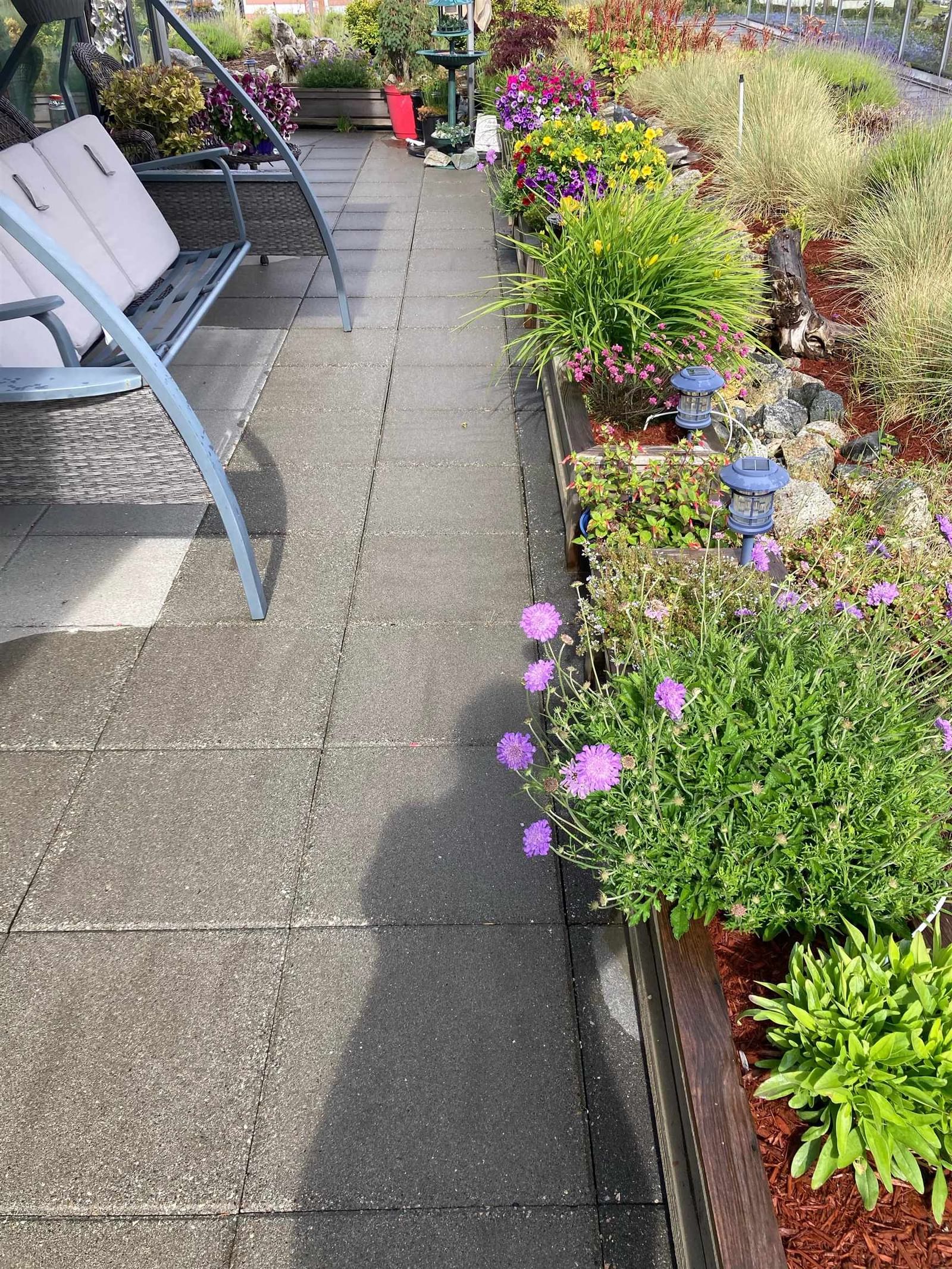 Listing Image 23