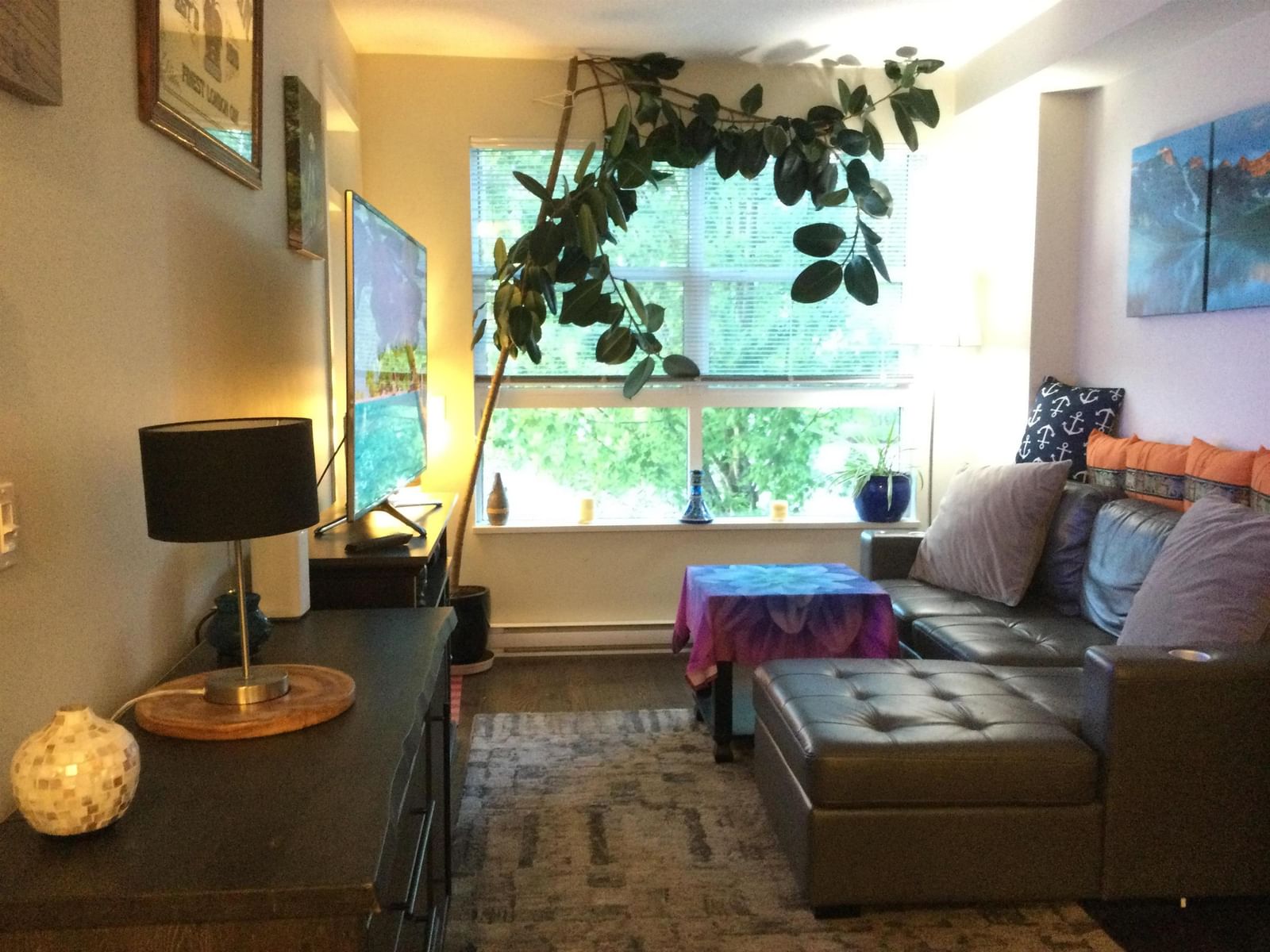 Listing Image 22