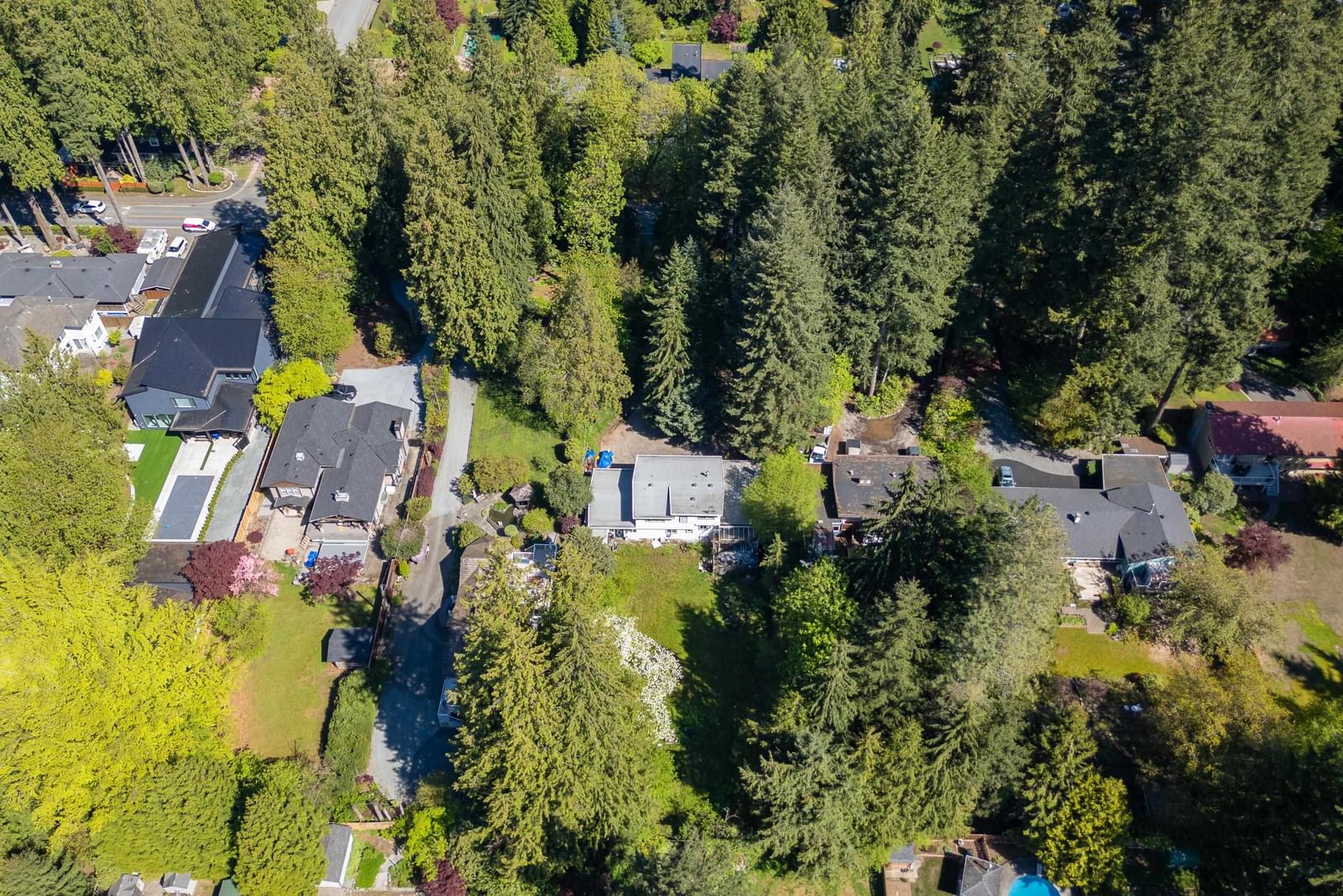 Listing Image 37