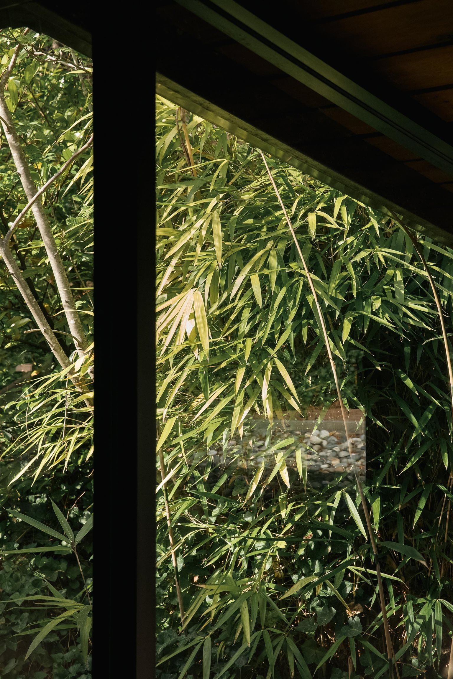 Listing Image 30