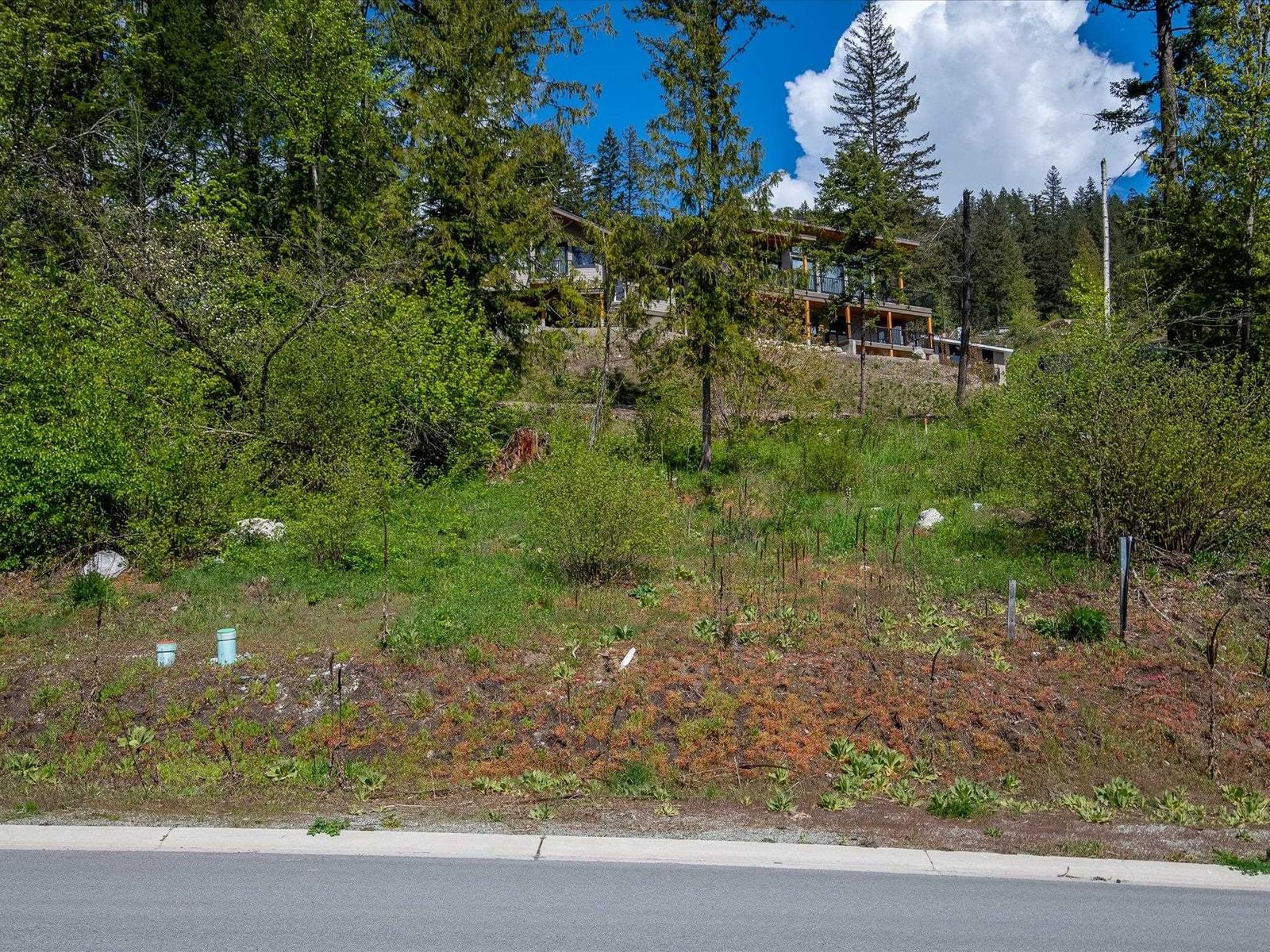 Listing Image 8
