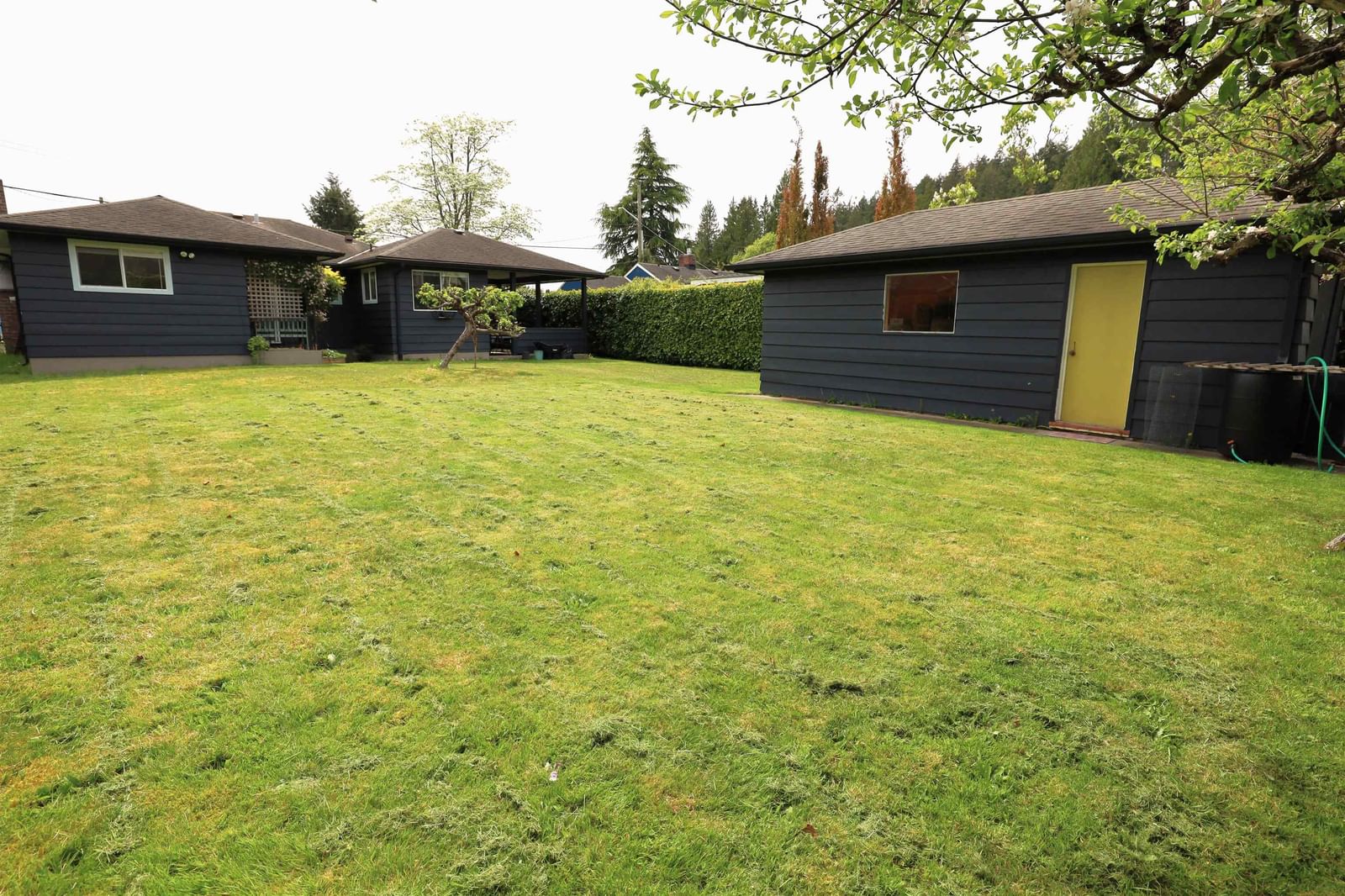 Listing Image 24