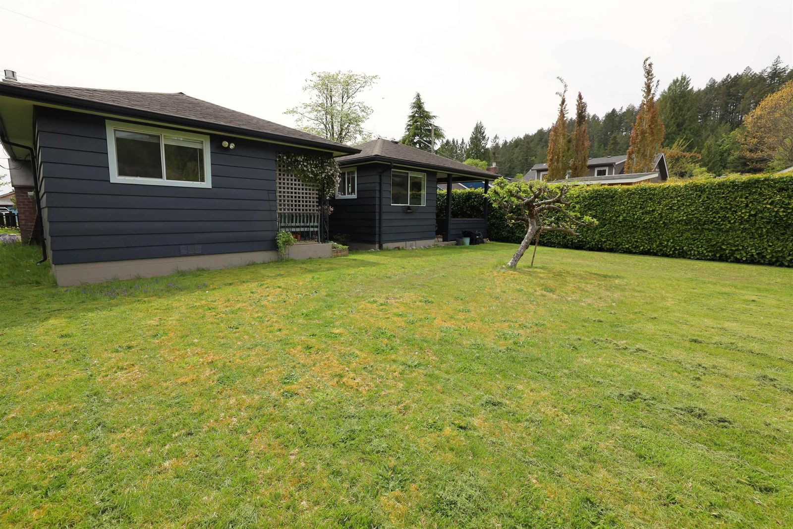 Listing Image 25