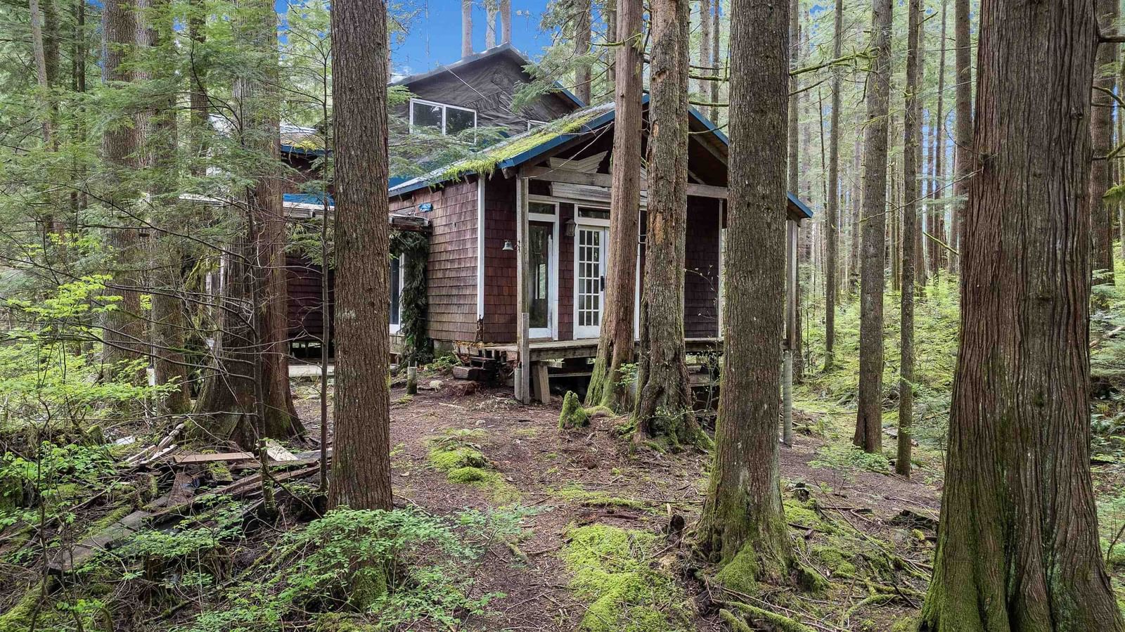 Listing Image 11