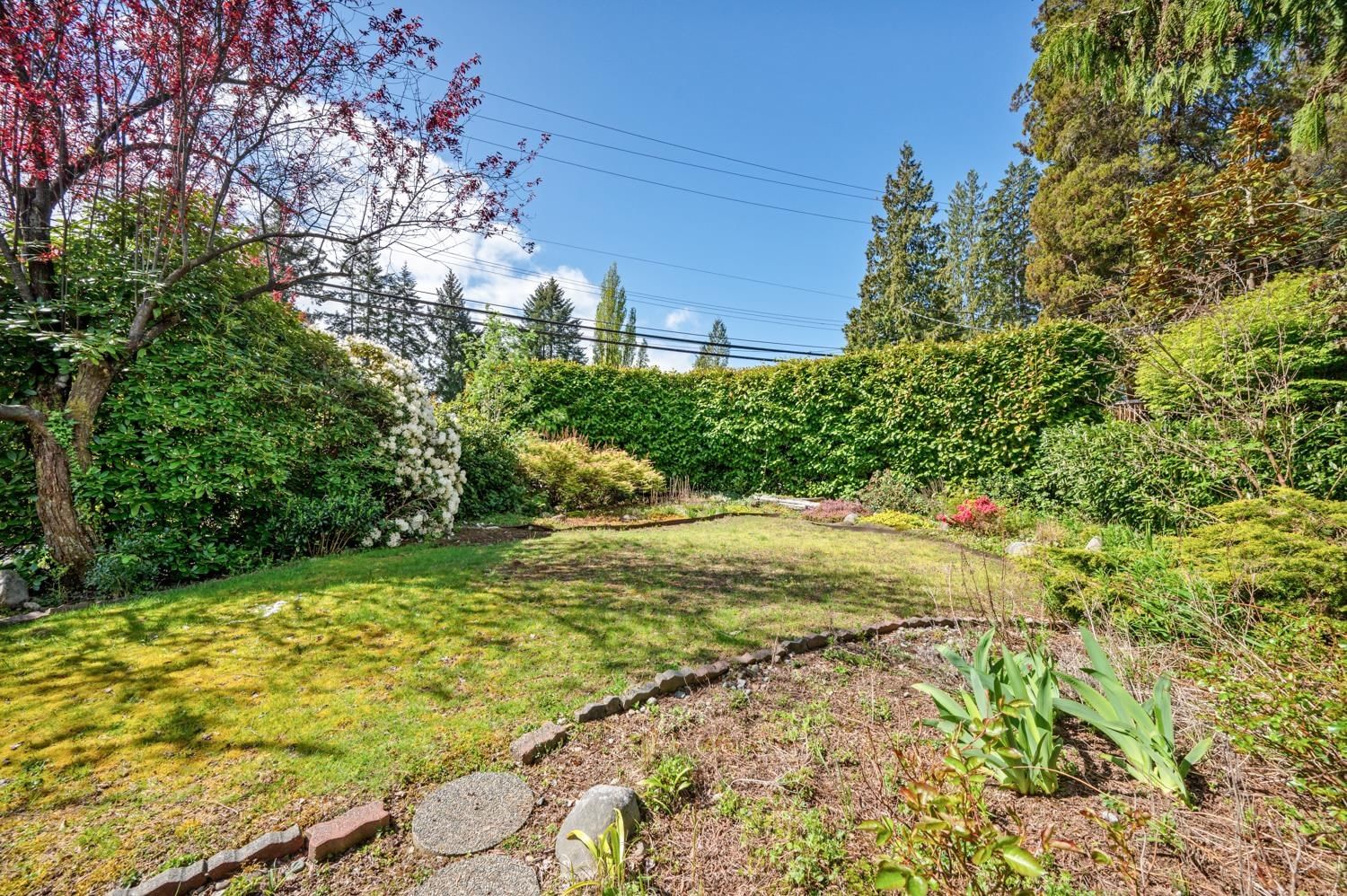 Listing Image 36