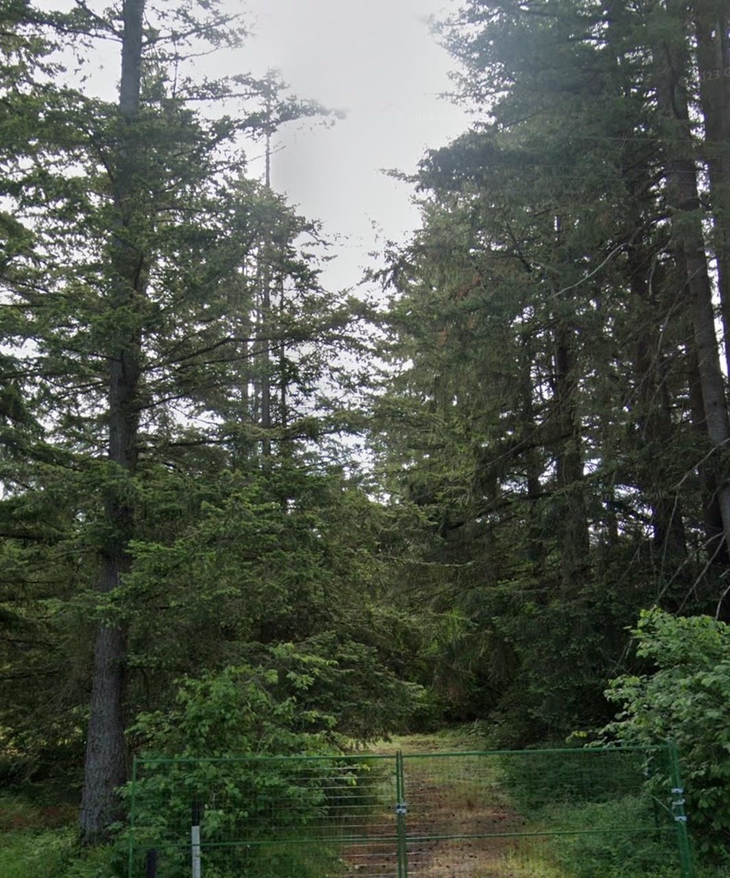 Listing Image 0
