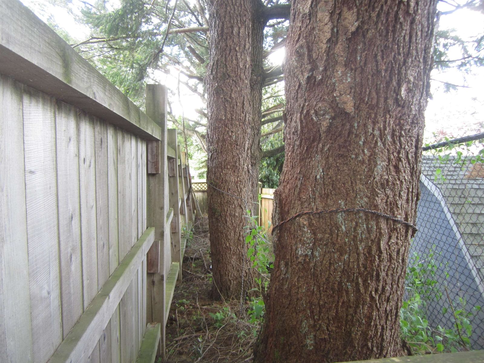 Listing Image 22