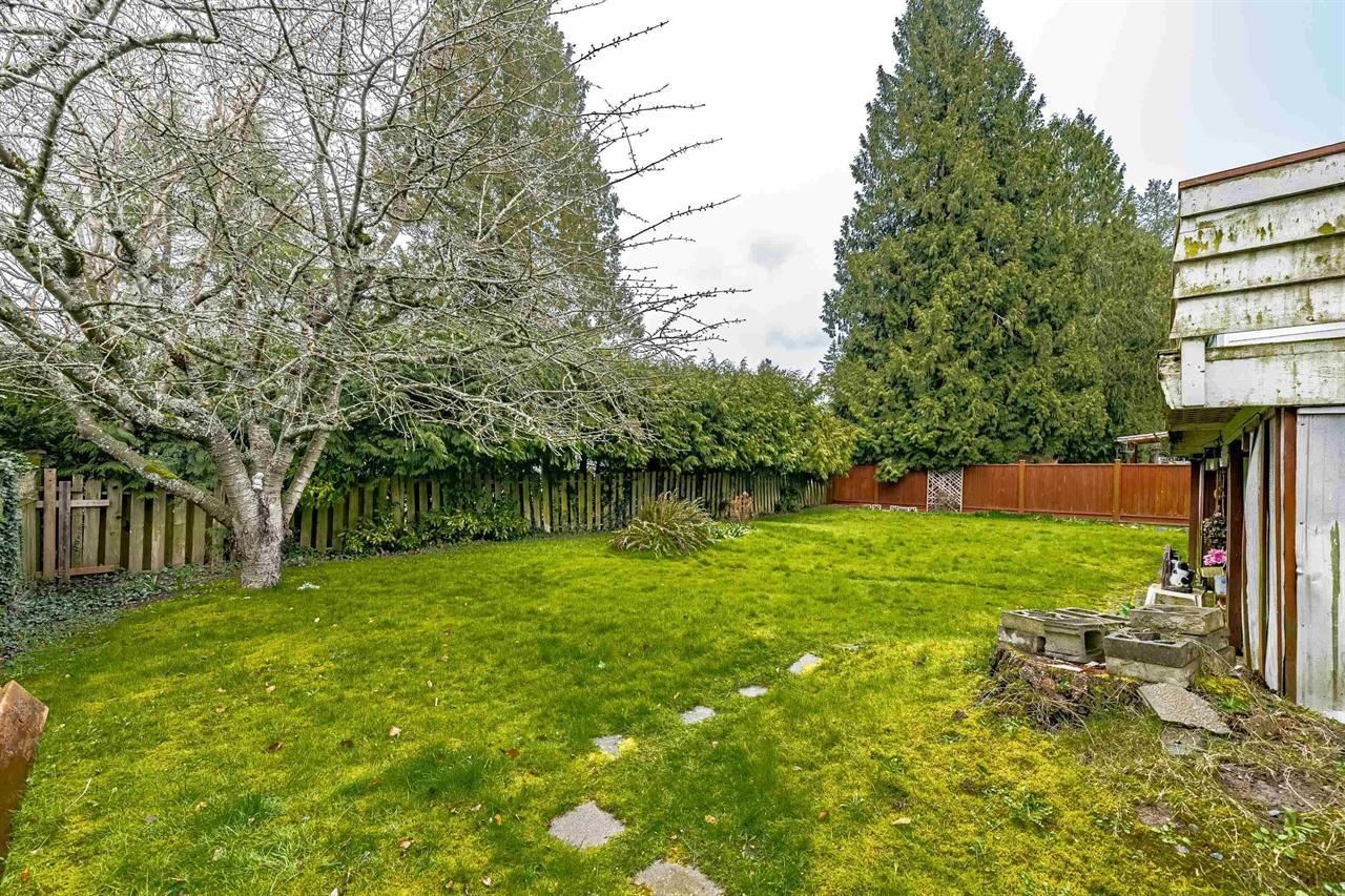 Listing Image 19