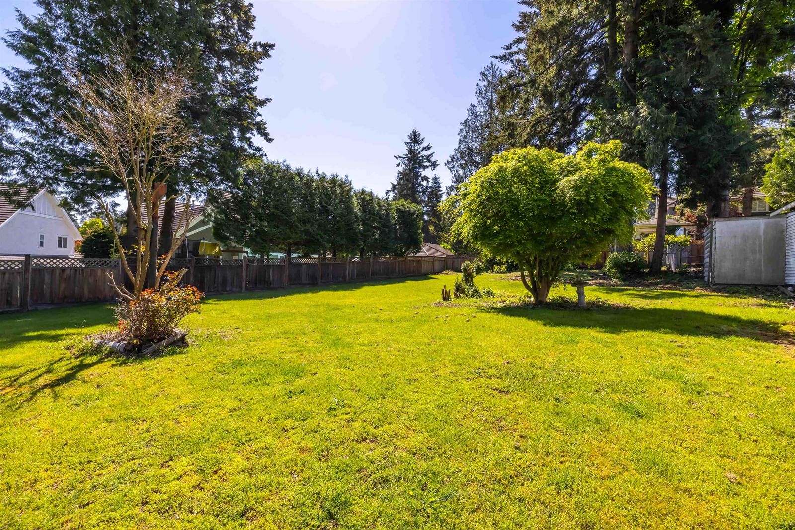 Listing Image 16
