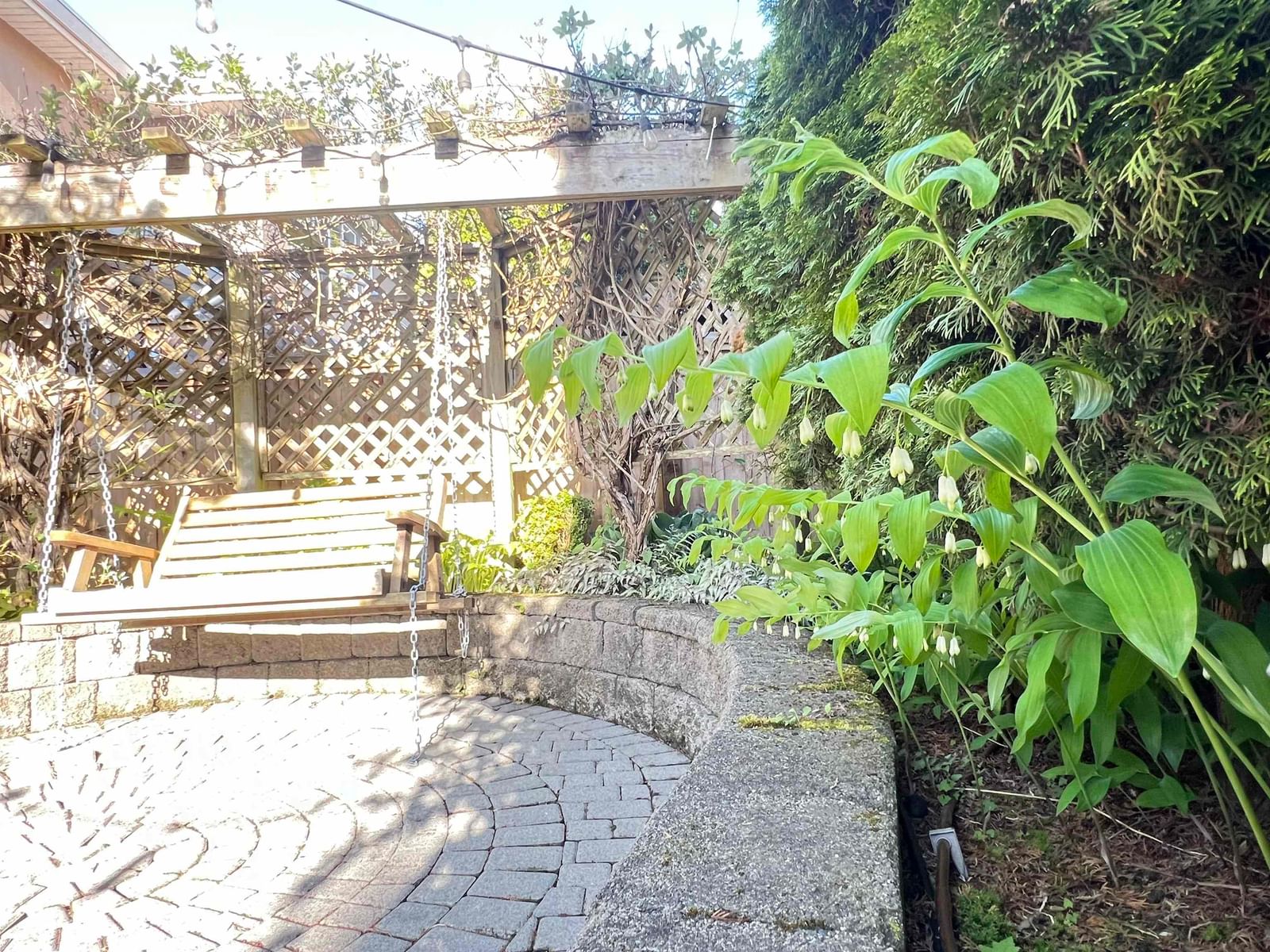 Listing Image 32