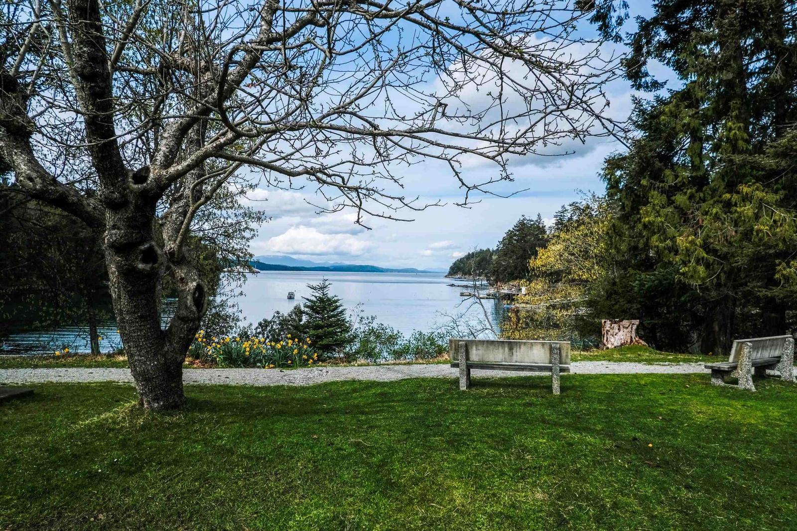 Listing Image 14