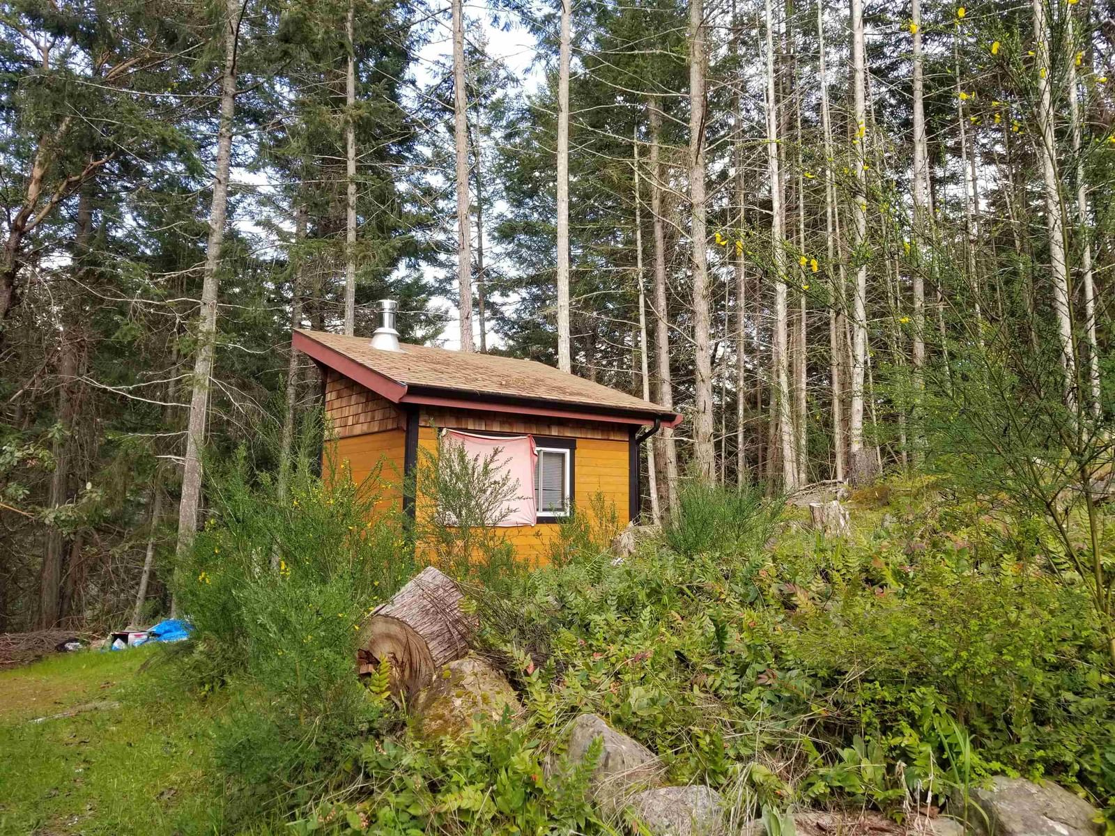 Listing Image 6