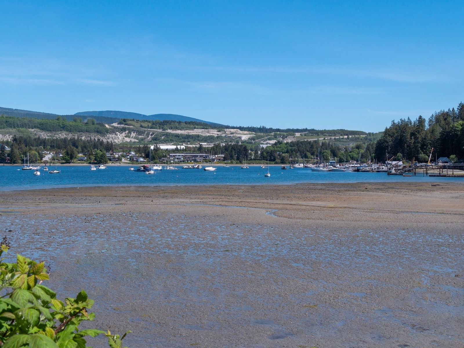 Listing Image 25
