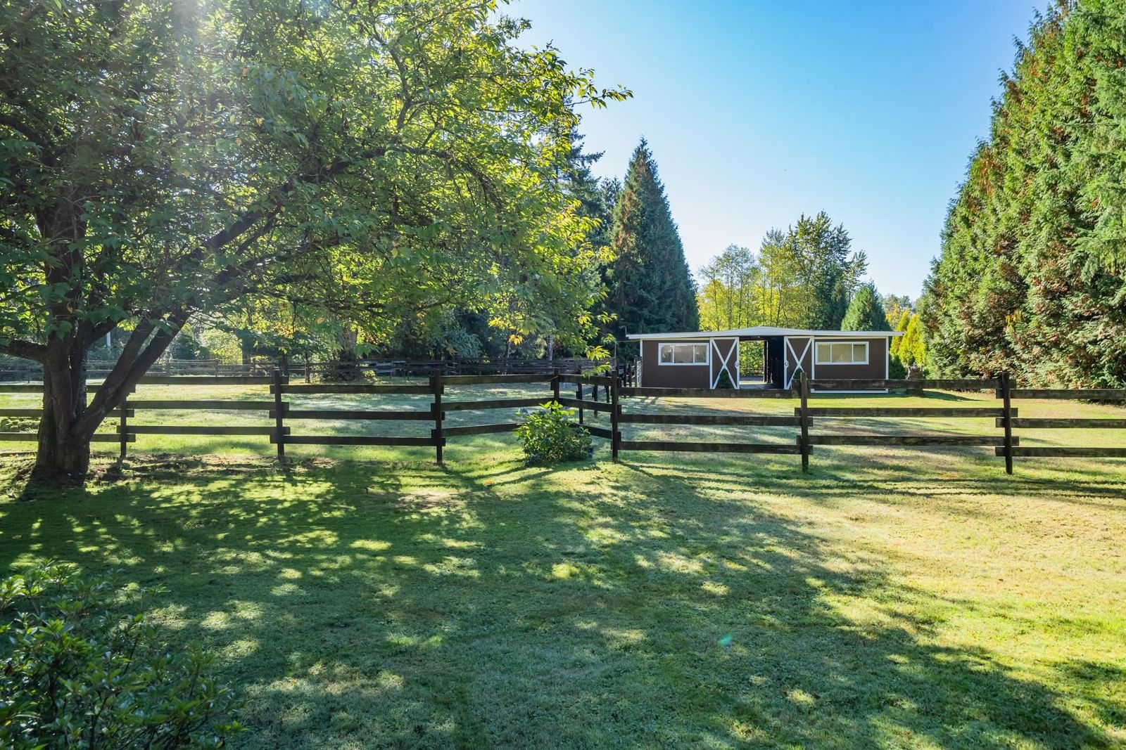 Listing Image 25