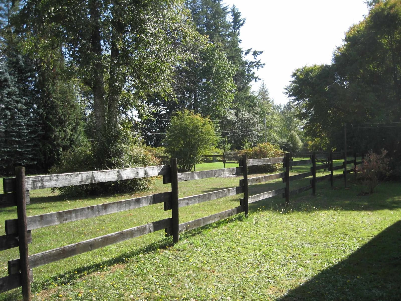 Listing Image 39