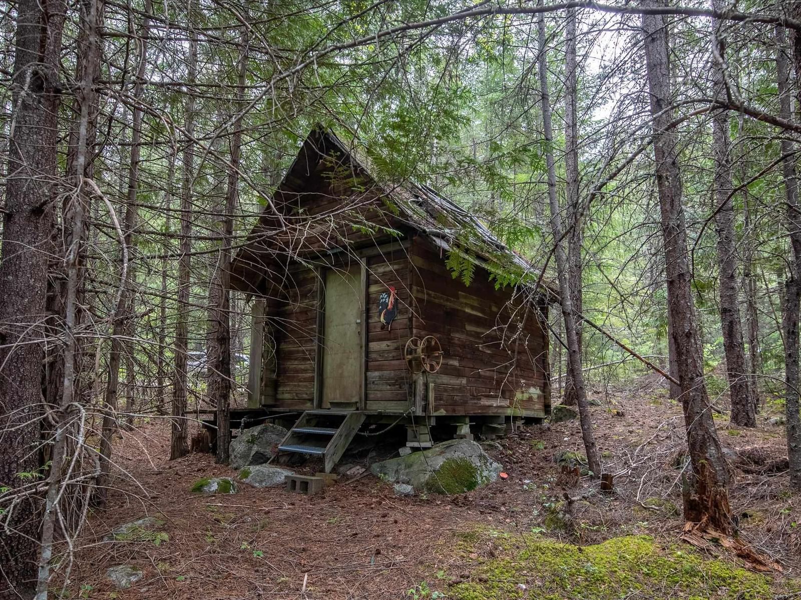 Listing Image 10