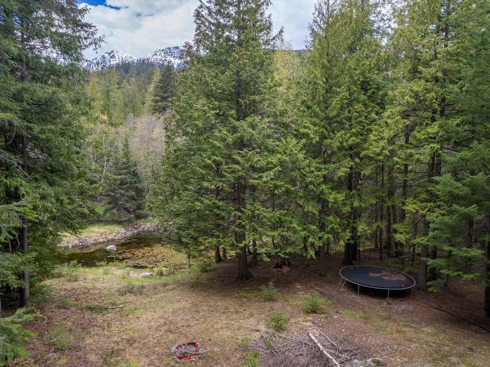 Listing Image 23