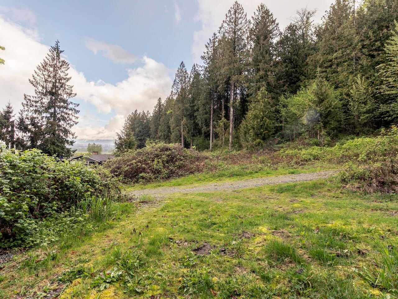 Listing Image 24