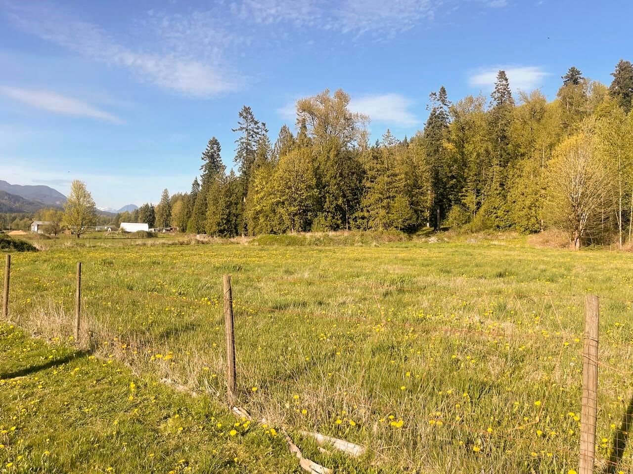 Listing Image 34