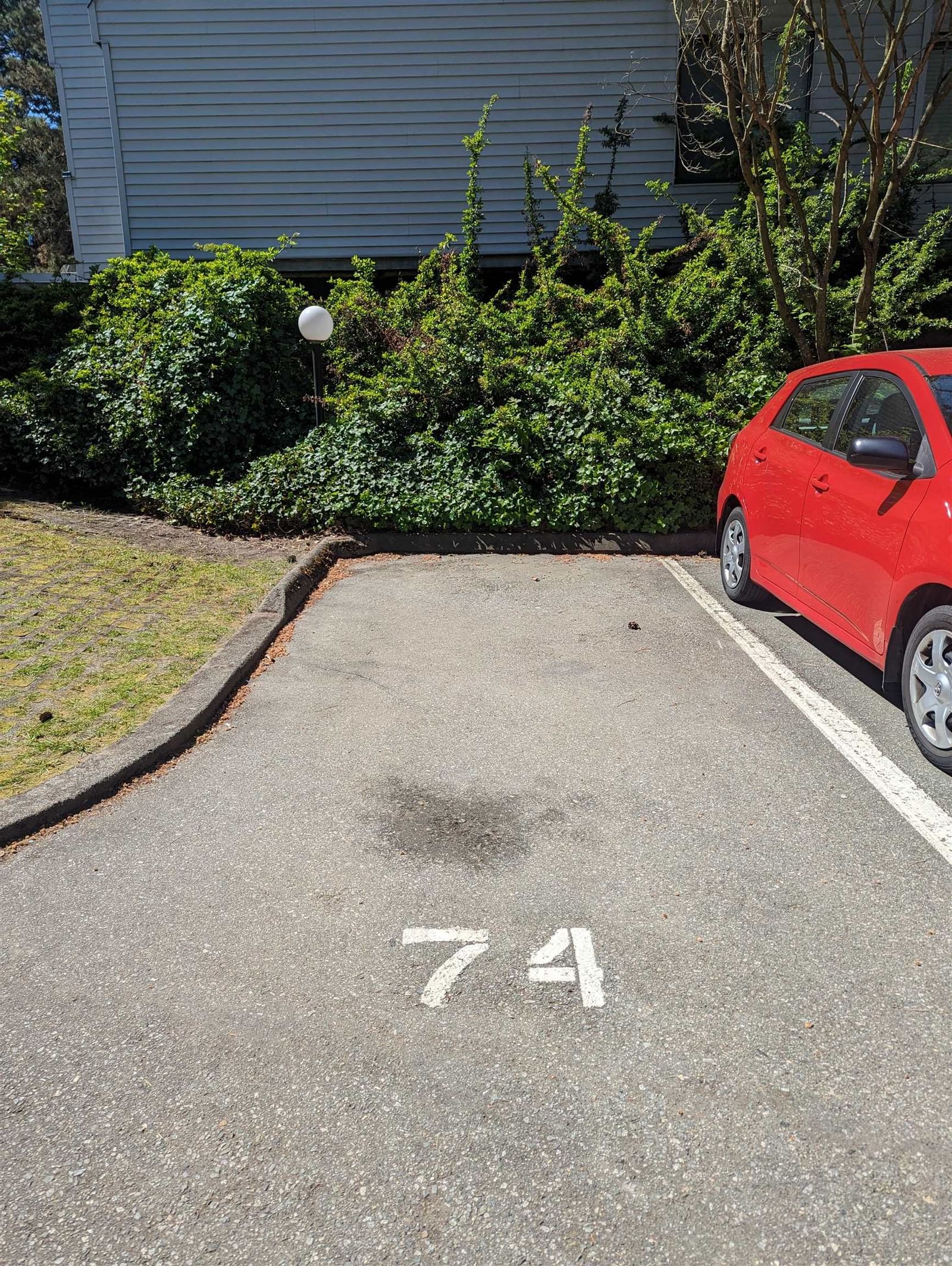 Listing Image 18