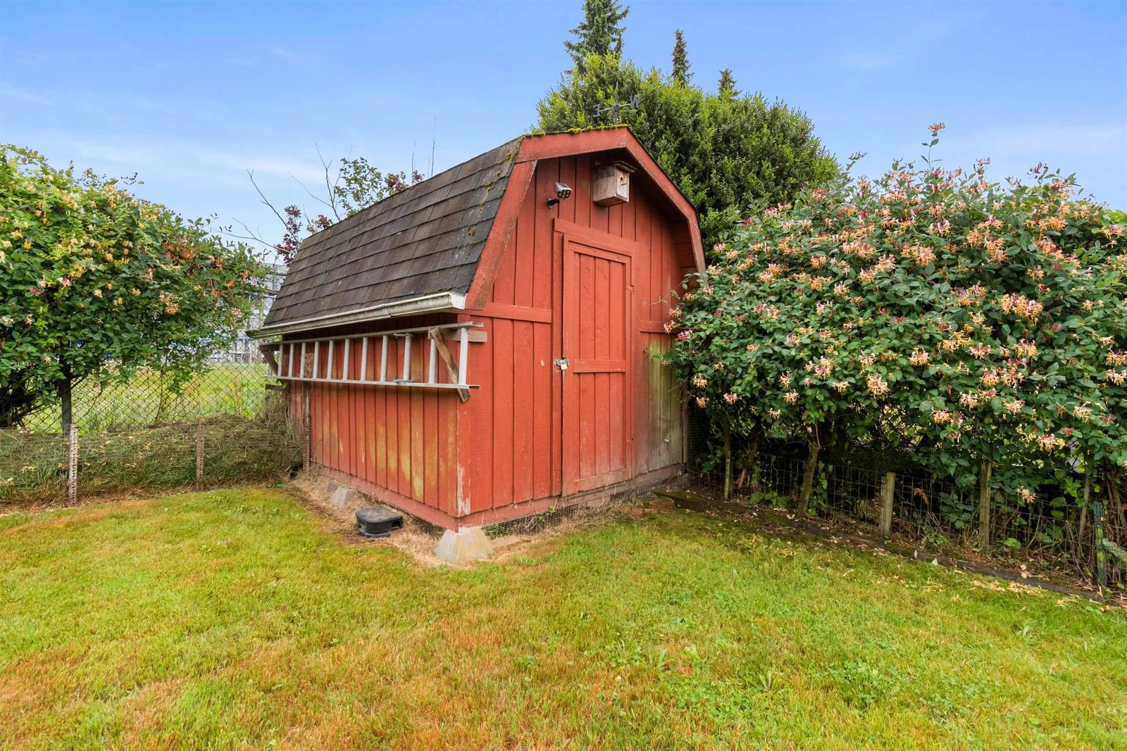 Listing Image 25