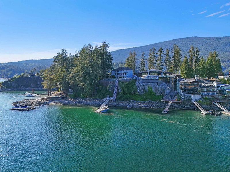242 Turtlehead Road, Belcarra, V3H 4P2 | Image 3