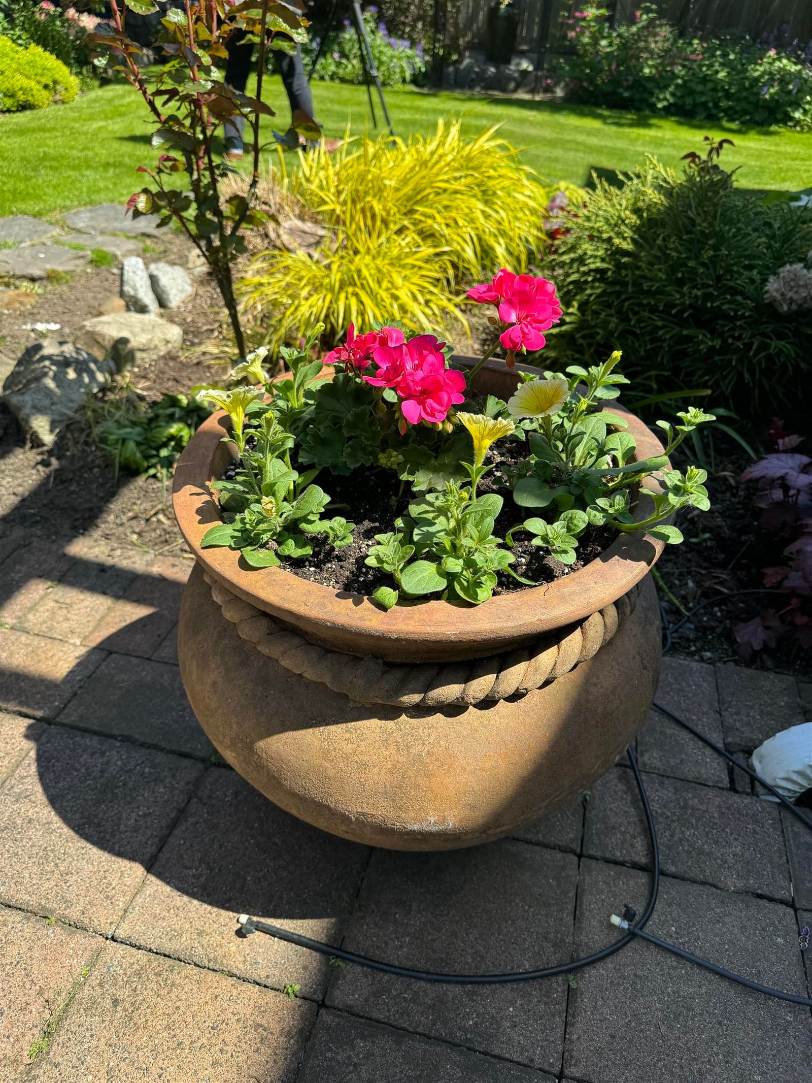 Listing Image 38