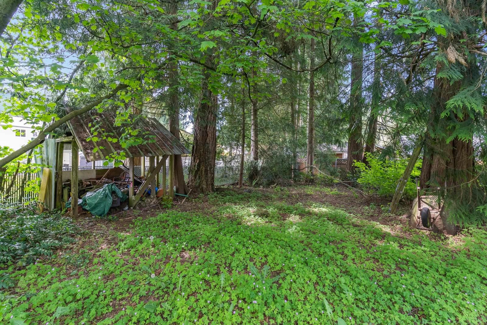 Listing Image 13
