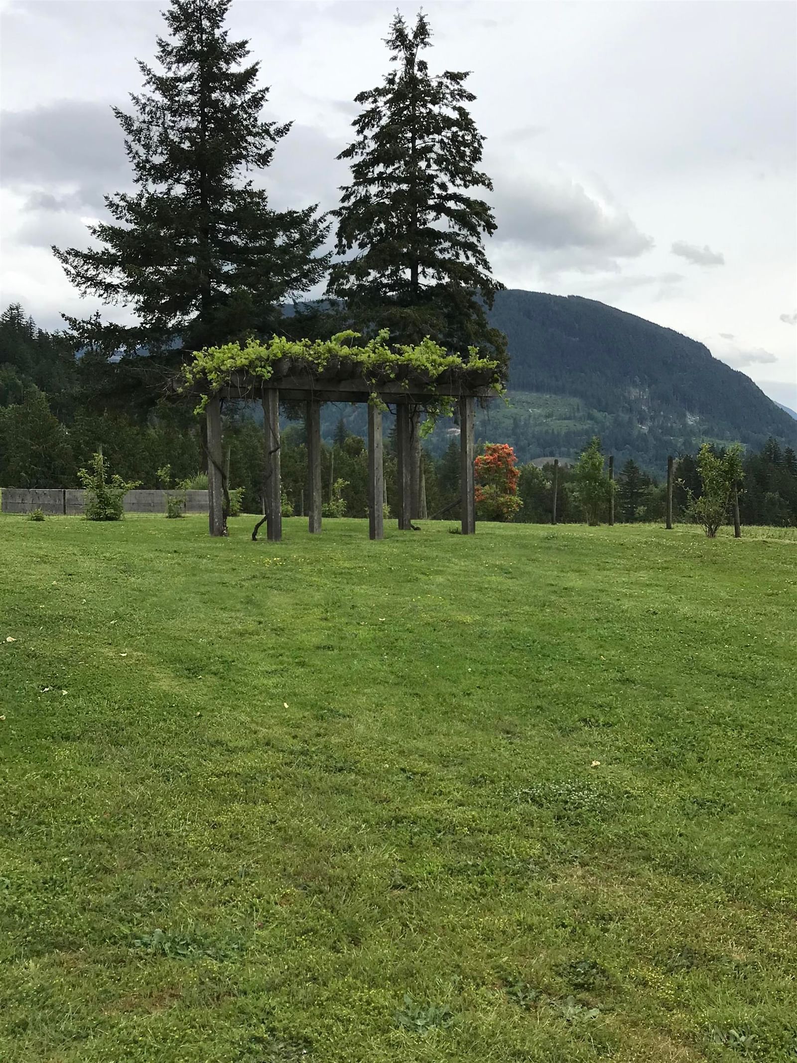 Listing Image 26