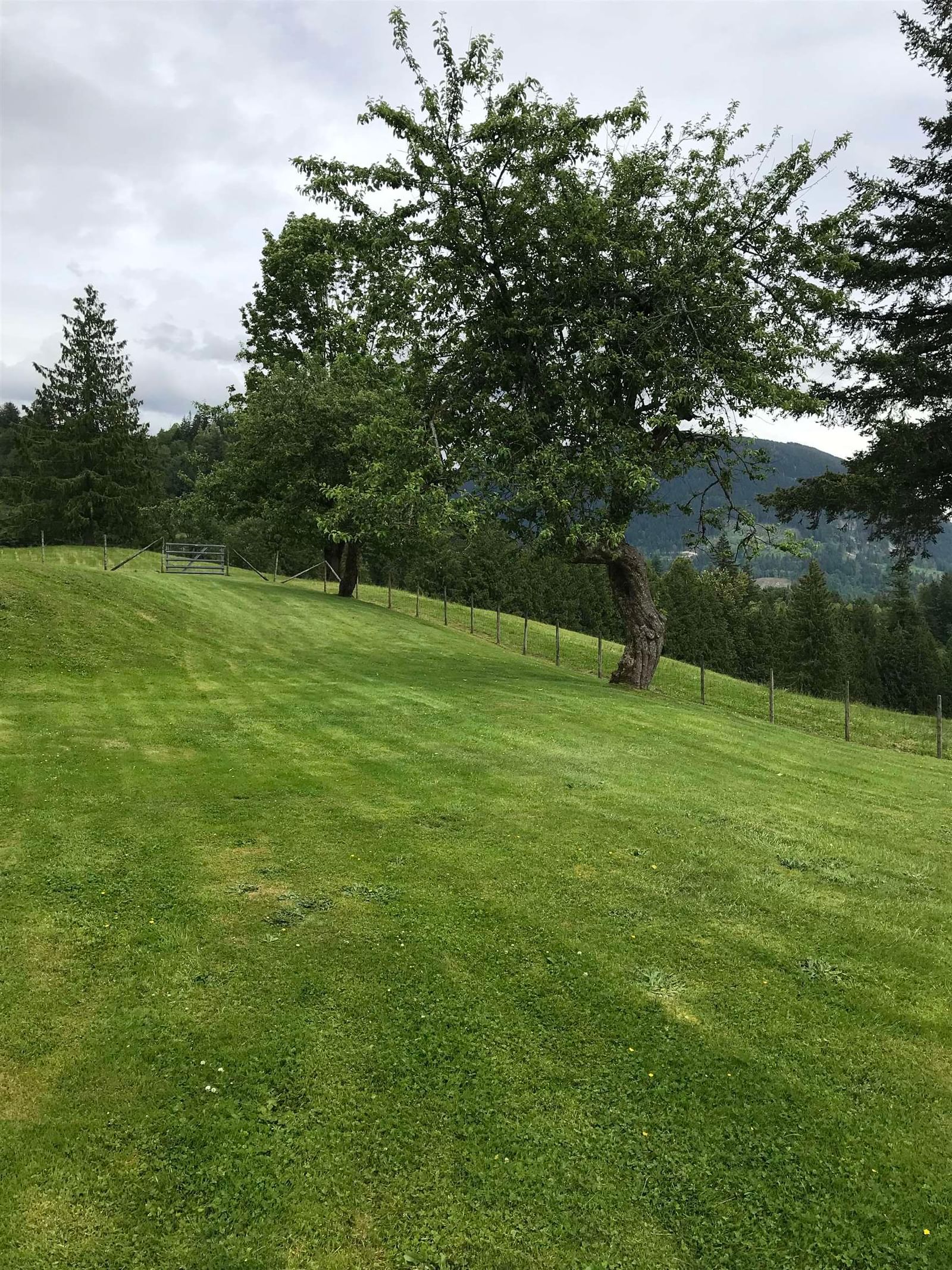 Listing Image 31