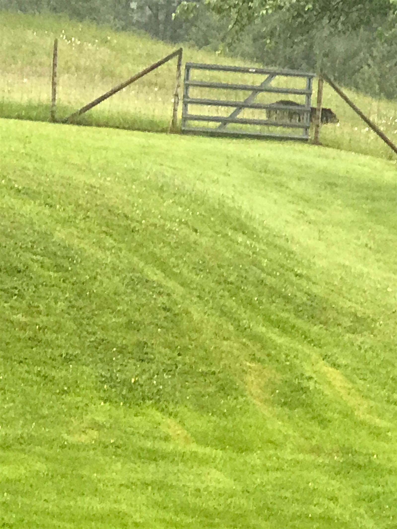 Listing Image 33