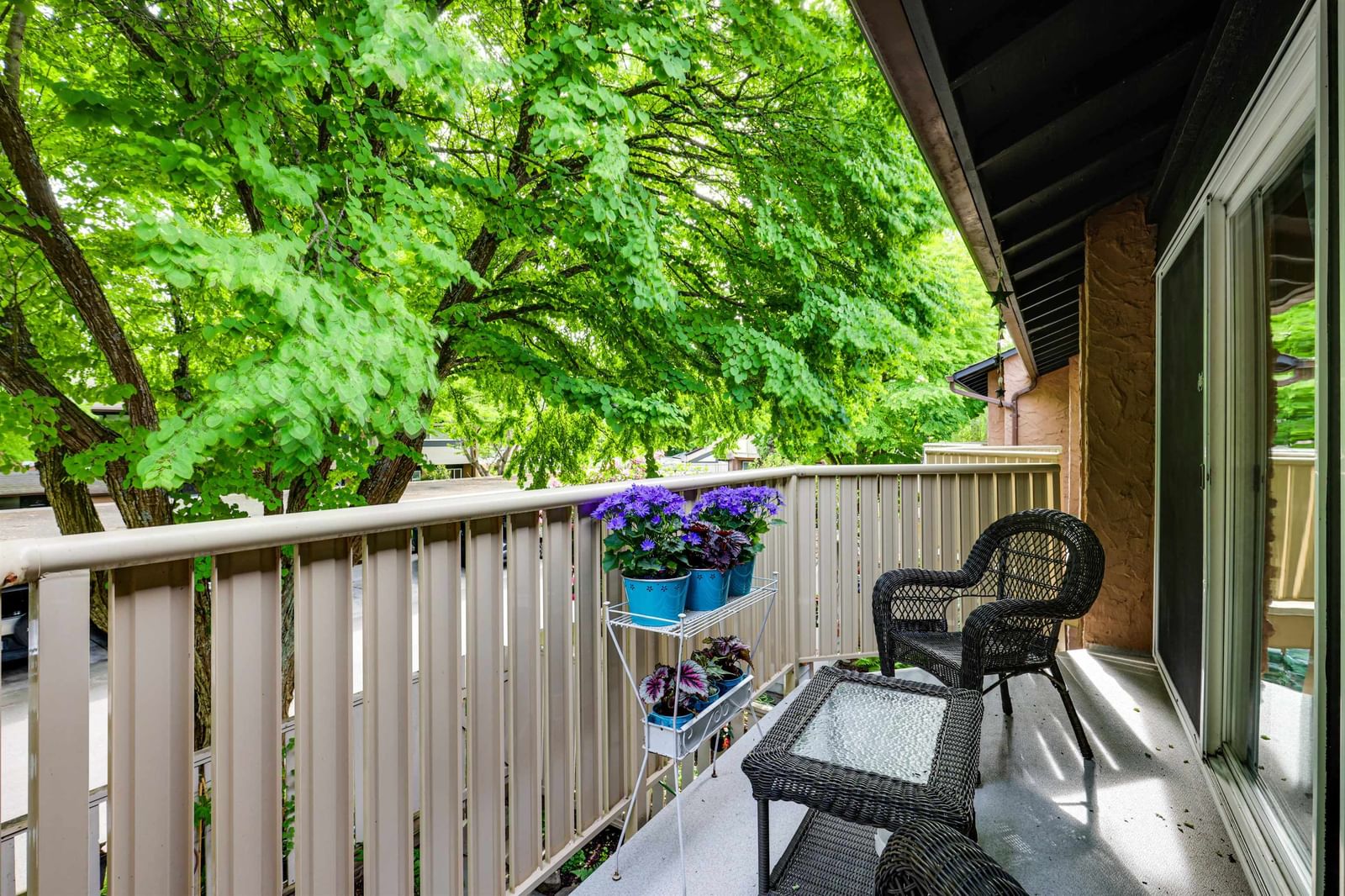 Listing Image 17
