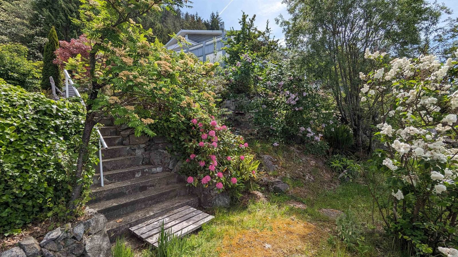 Listing Image 35