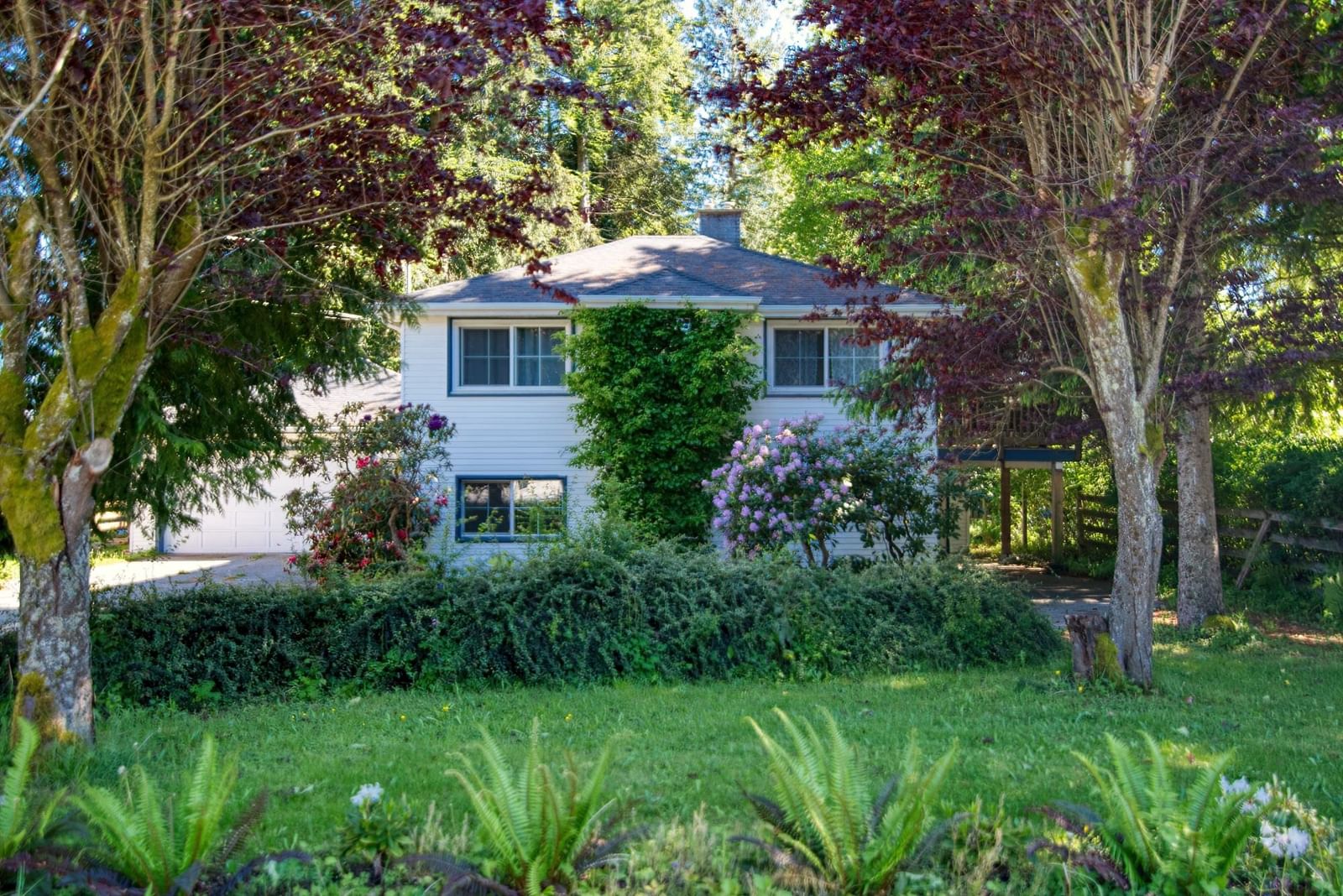 Listing Image 15