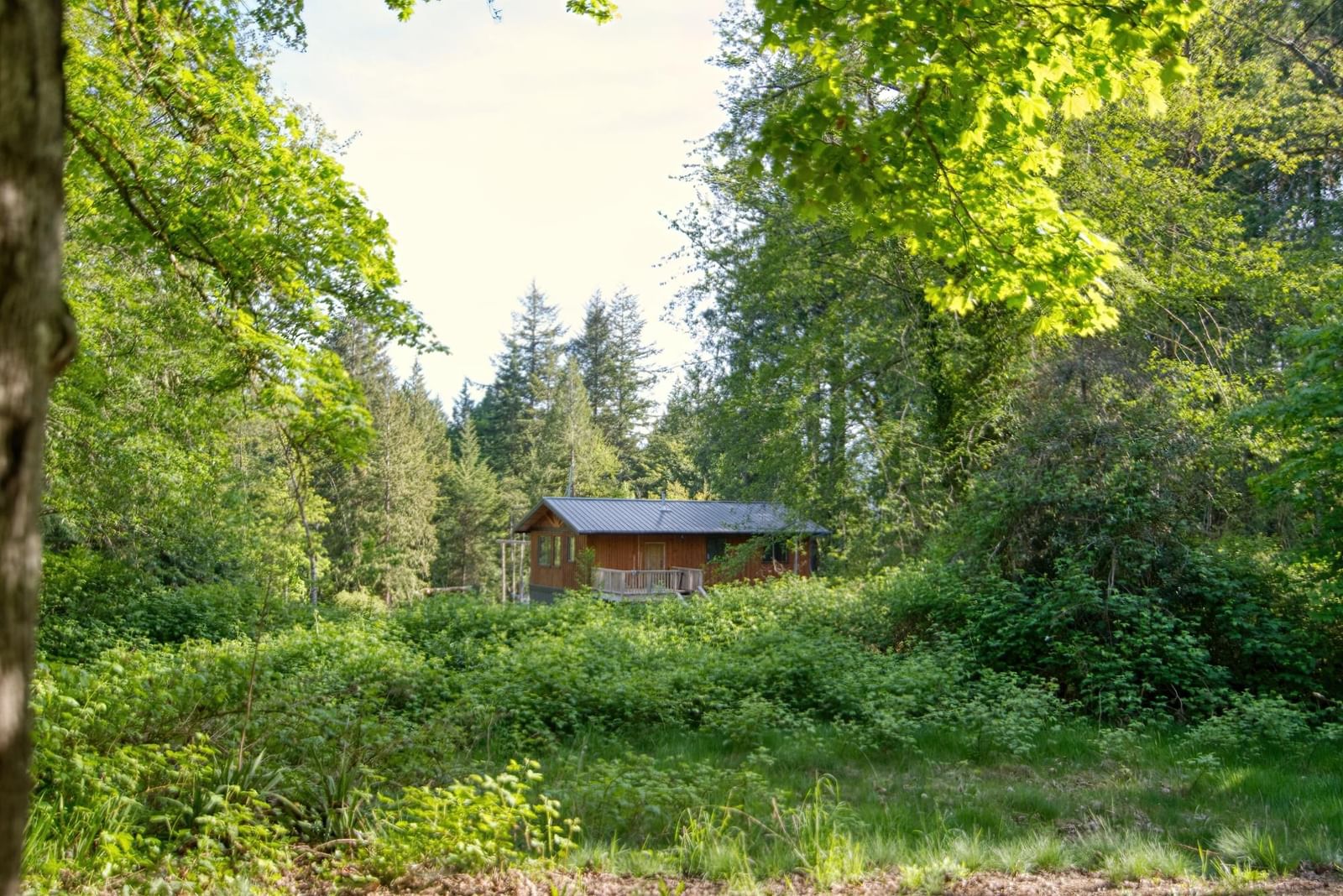 Listing Image 27