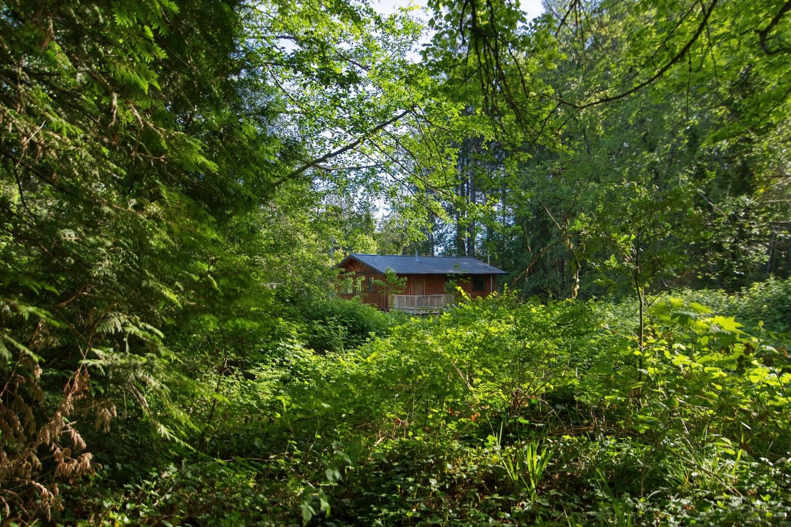 Listing Image 29