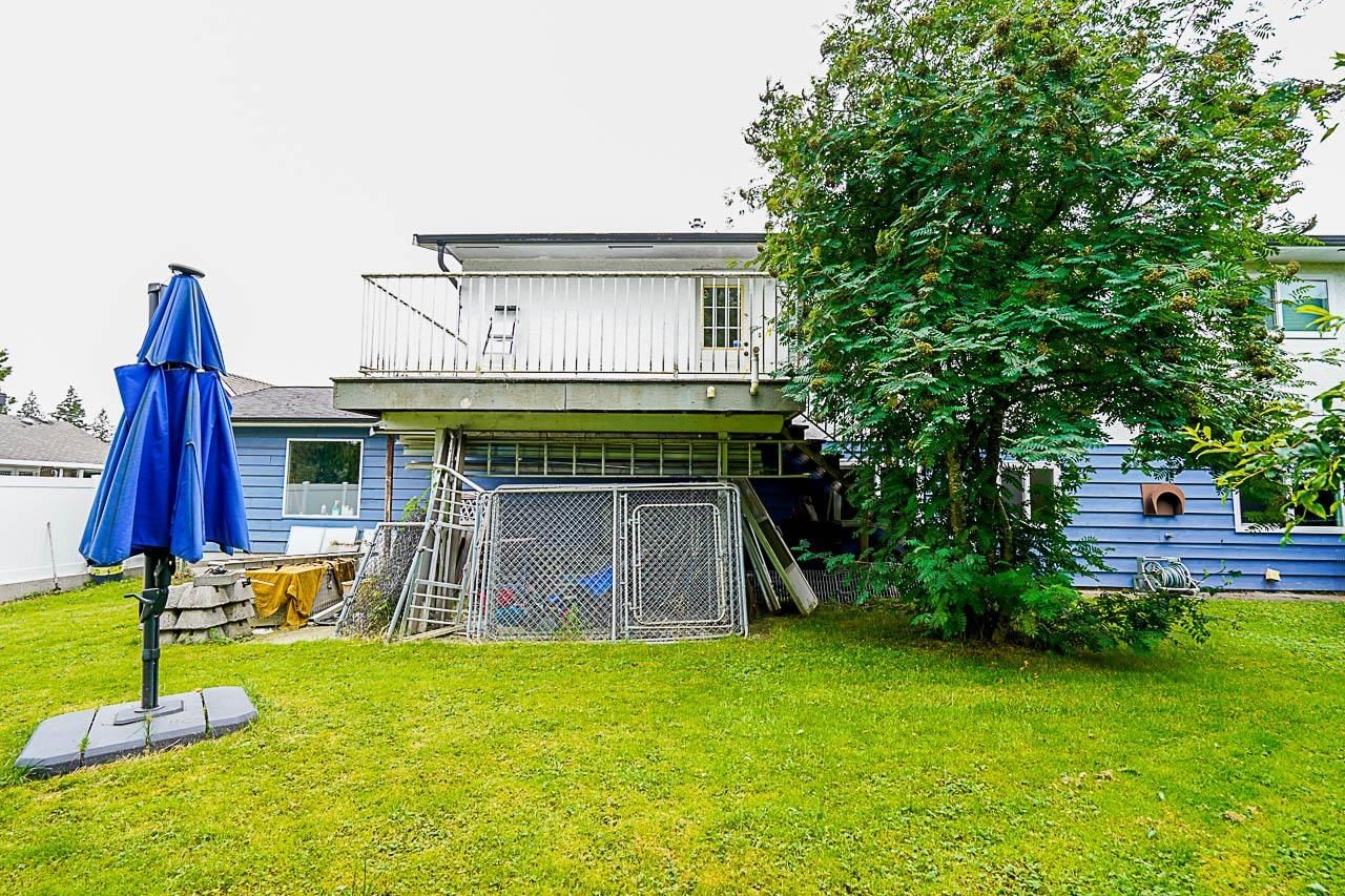 Listing Image 26