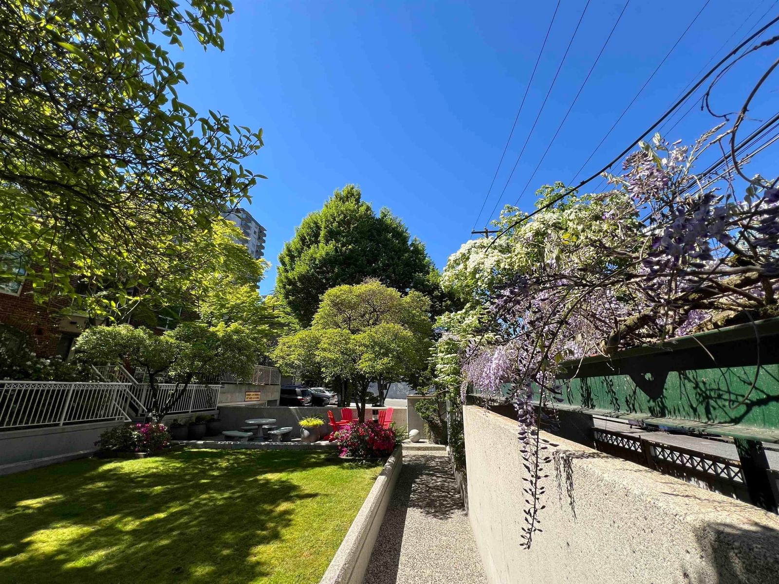 Listing Image 20