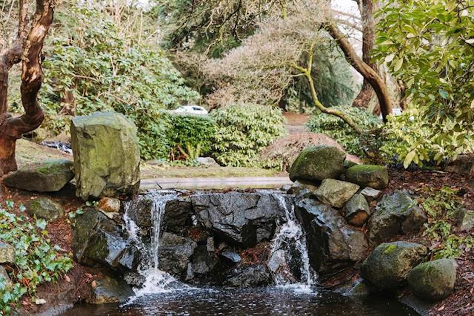 Listing Image 33