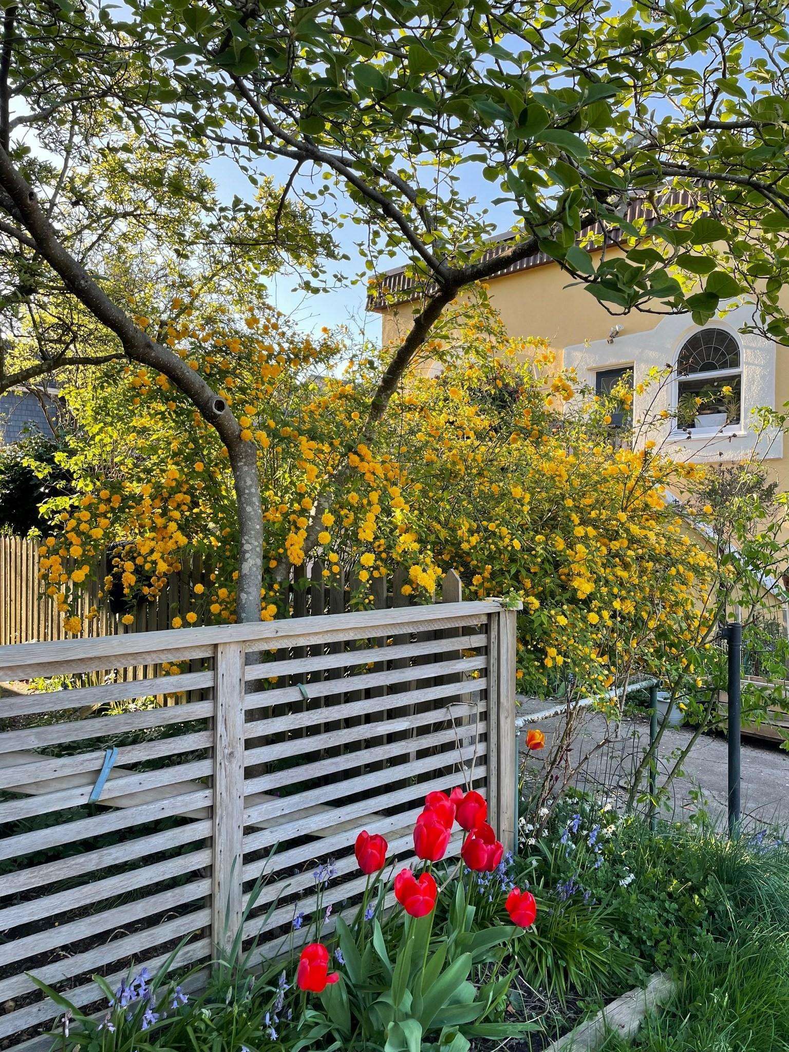 Listing Image 24